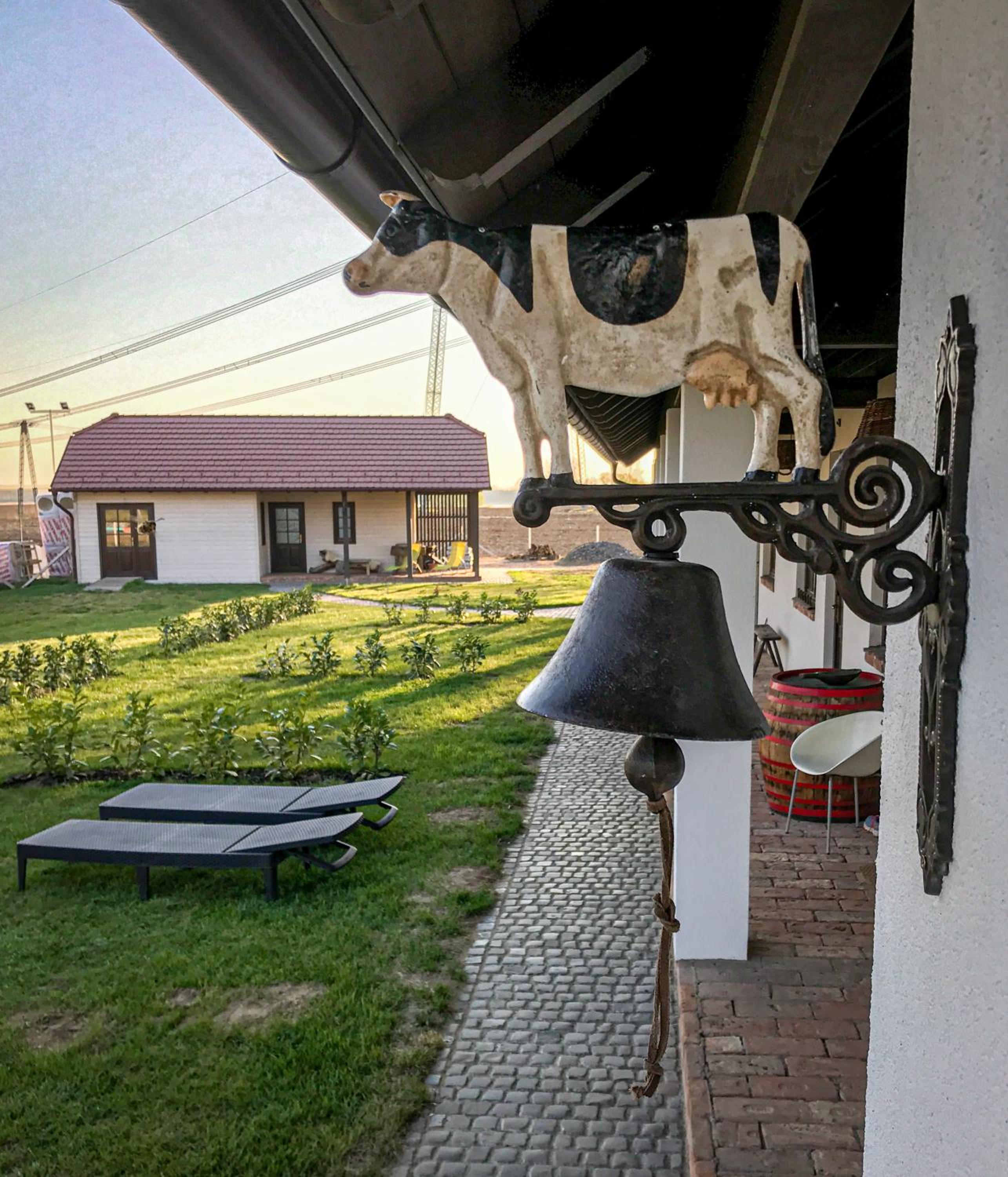 Photo 28