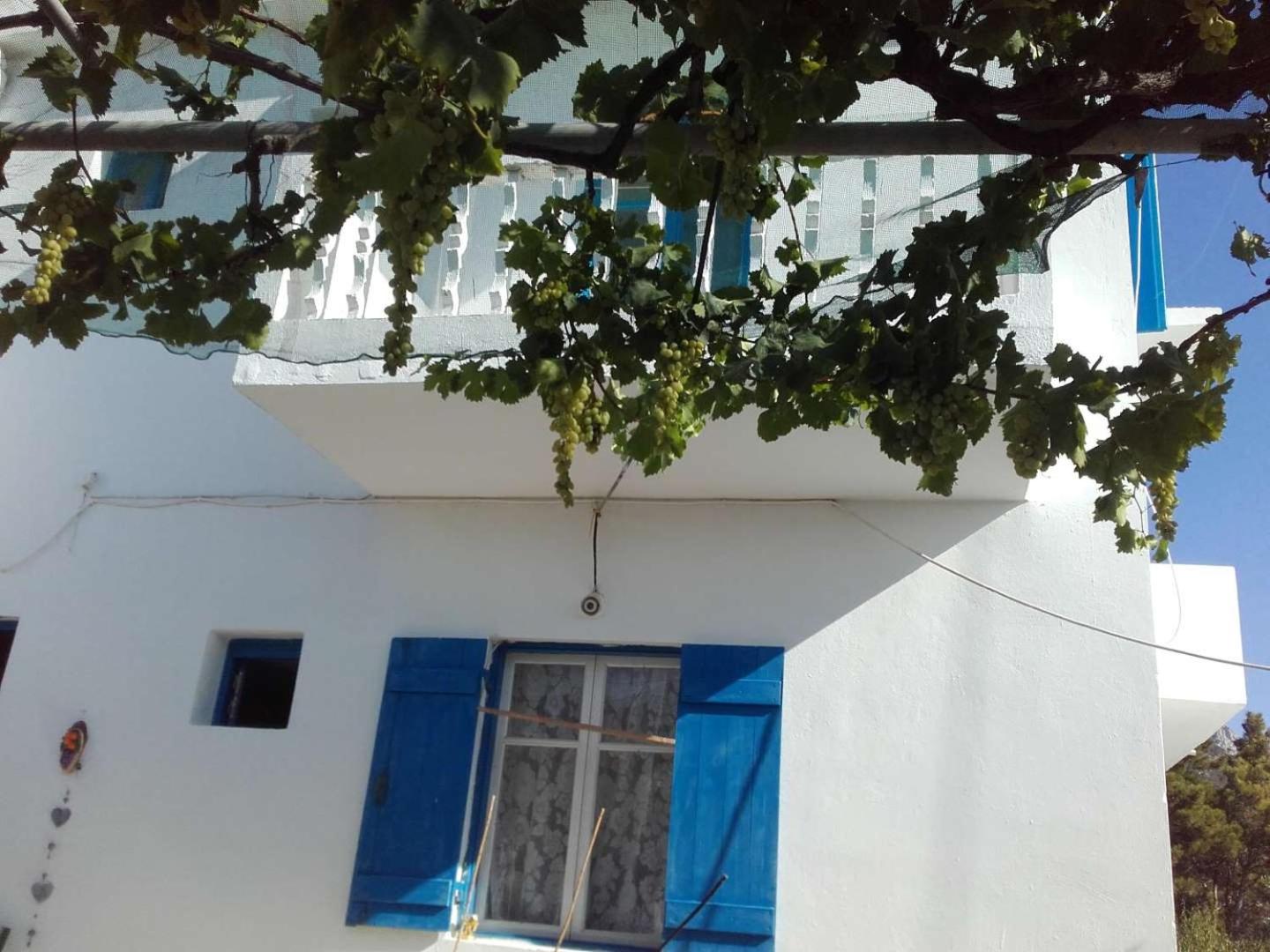 Nikos Apartments