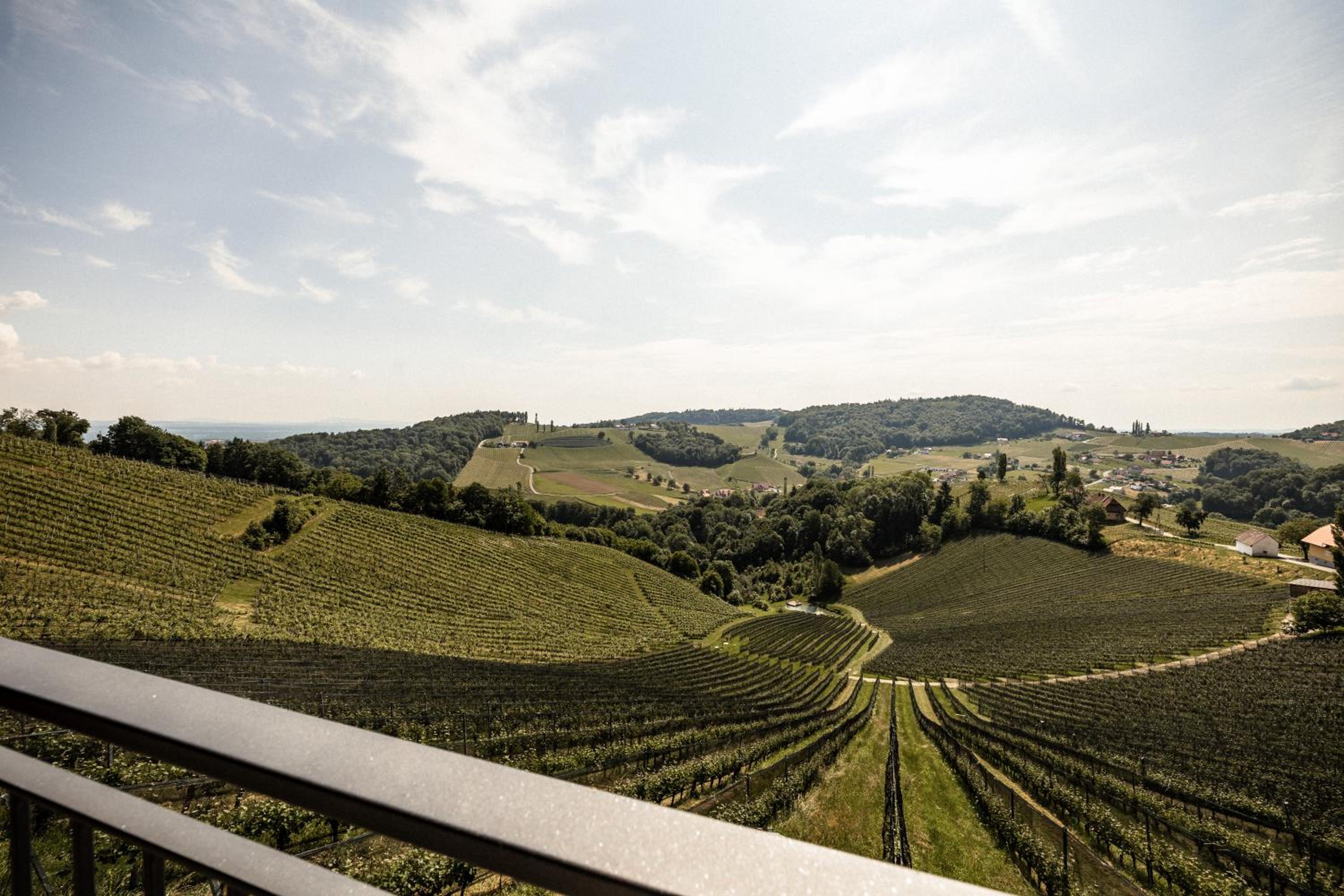 Weinhotel Maitz Wolfgang