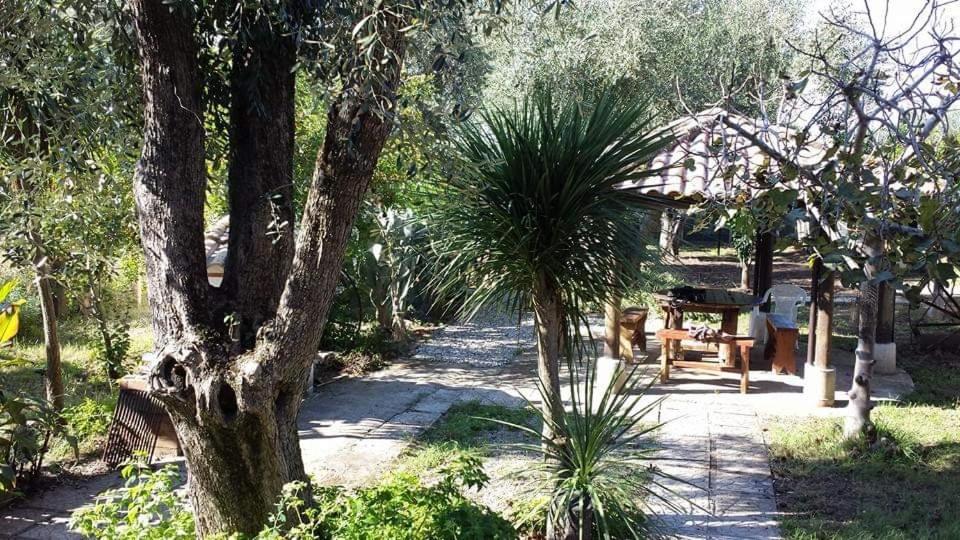 L' Agrumeto view 5
