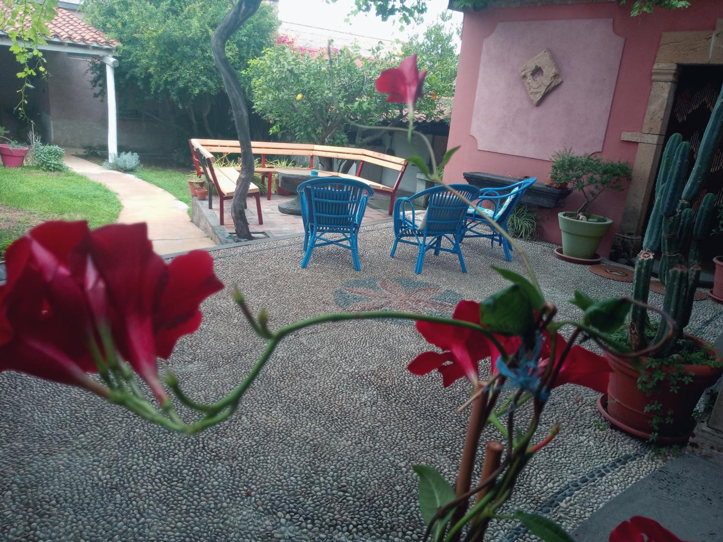 Photo 14