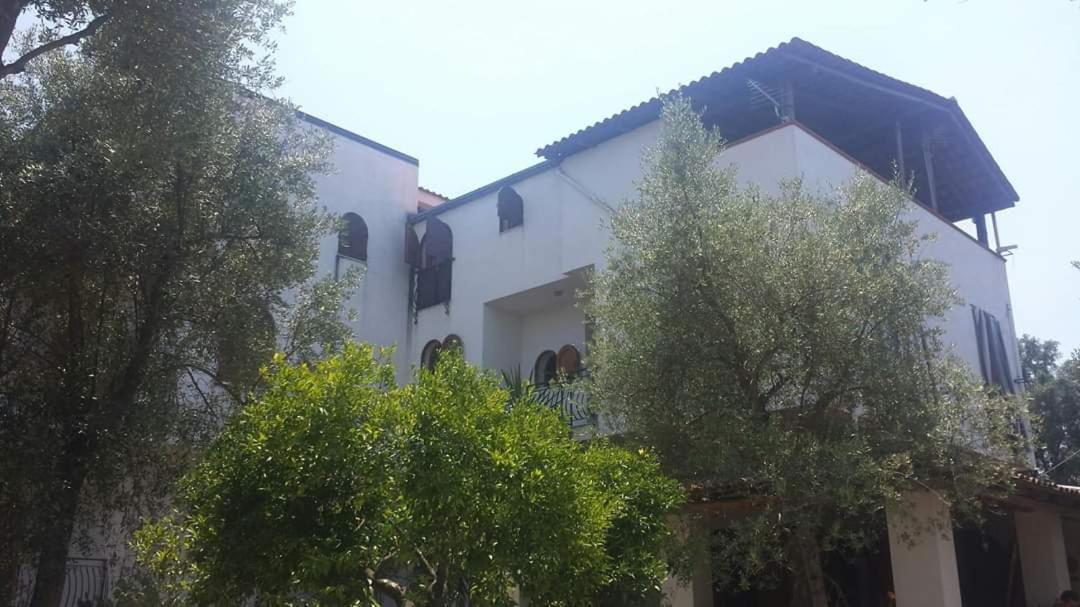 Photo 42