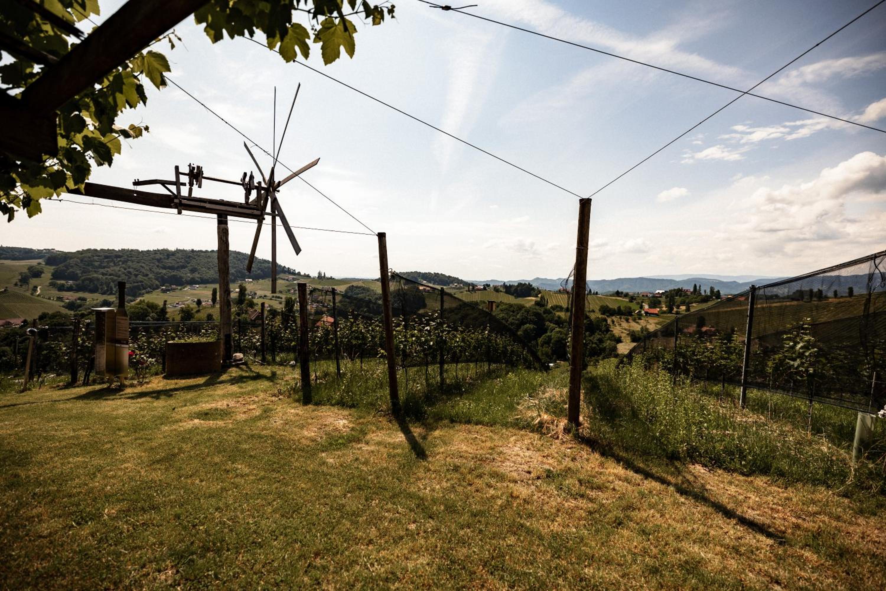 Weinhotel Maitz Wolfgang