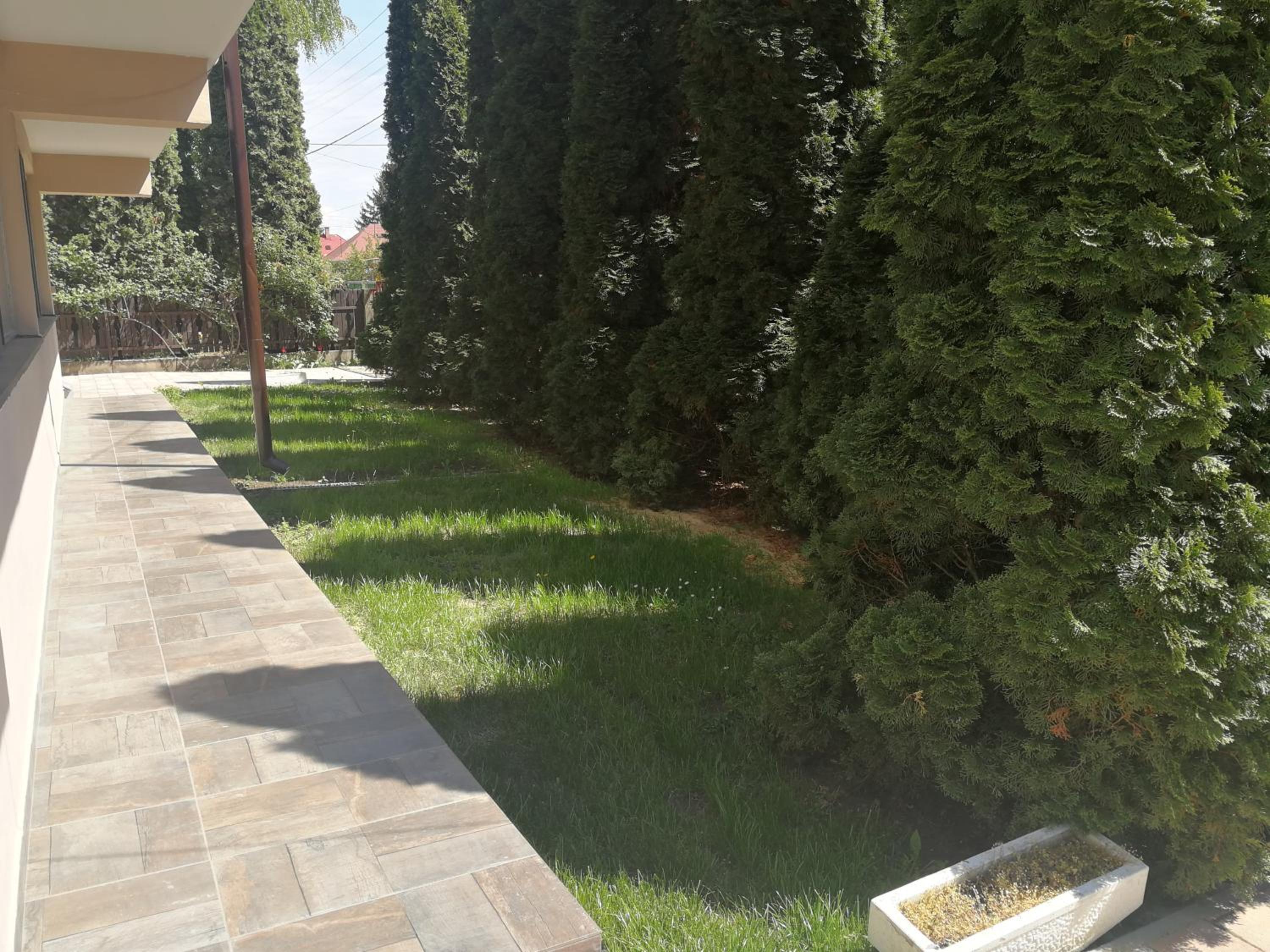 Photo 39