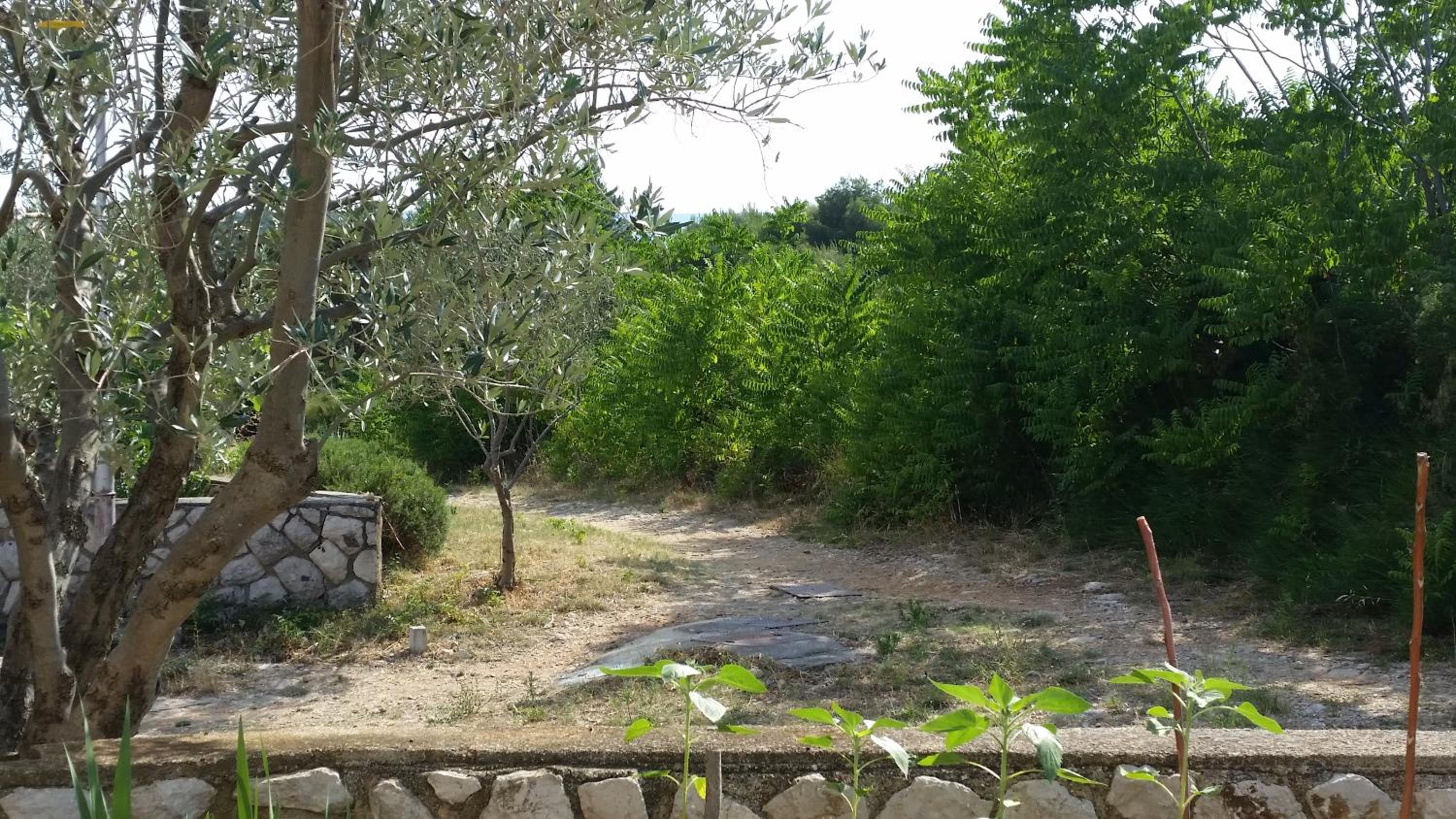Apartmani Ana Schon view 5