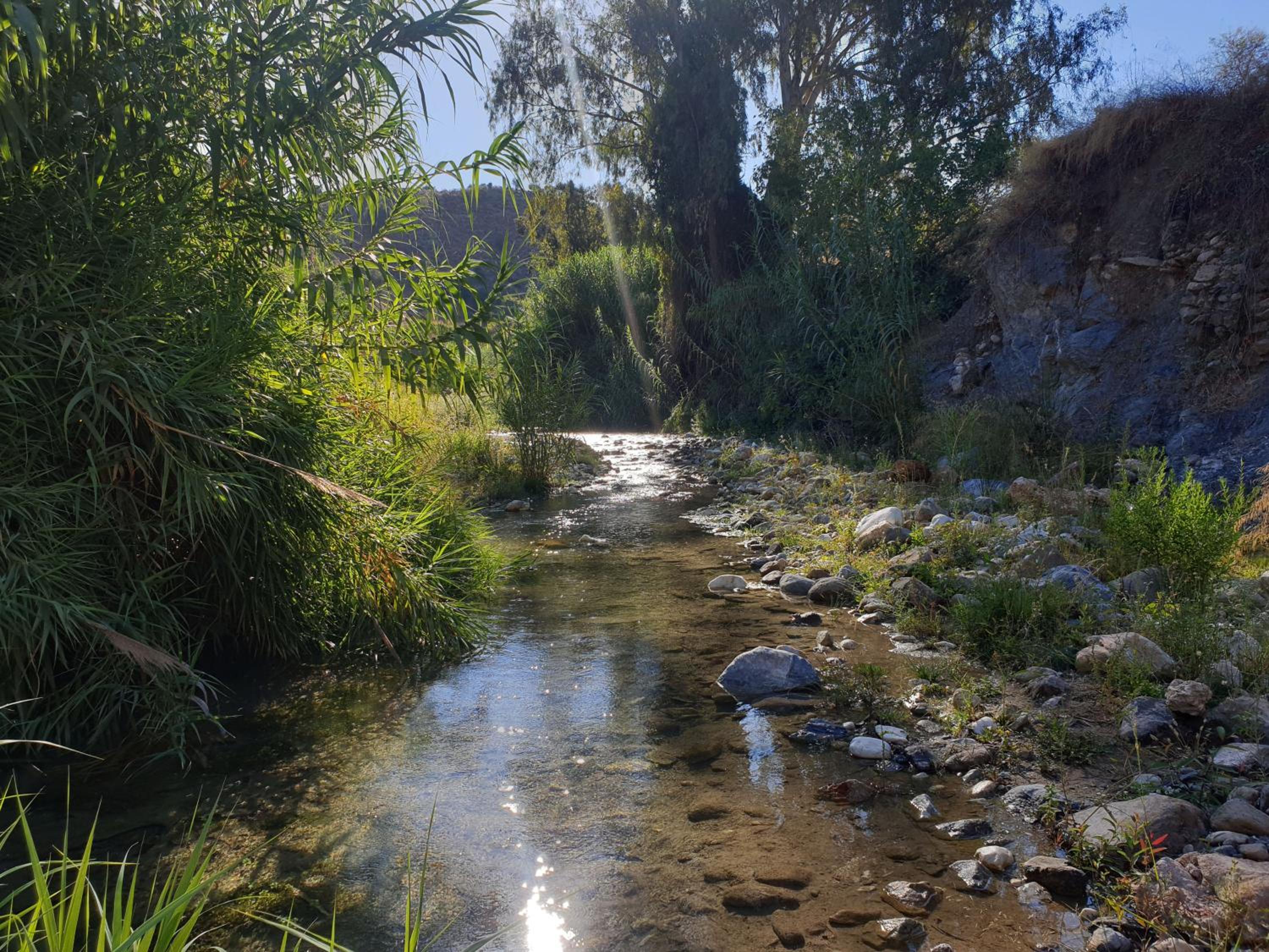 Photo 36