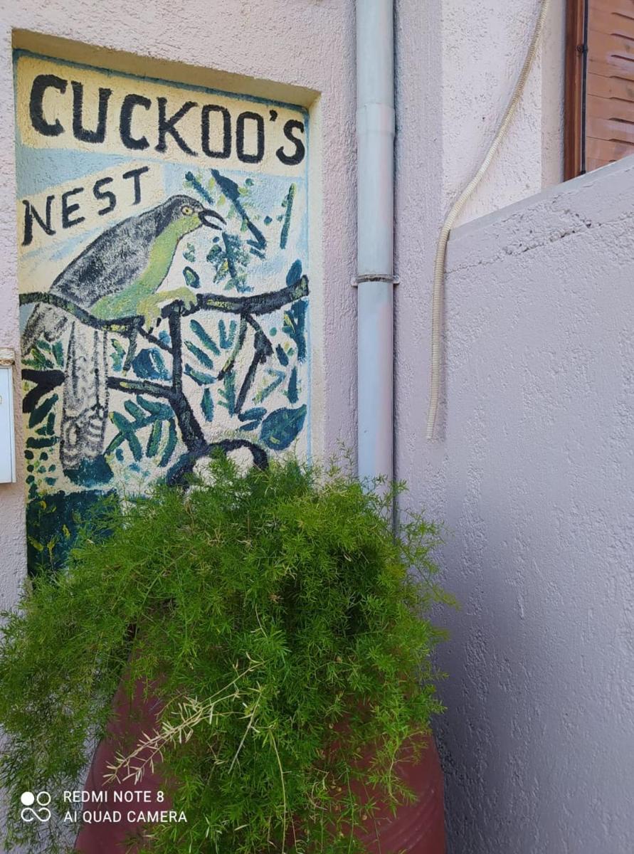 Cuckoo's Nest — photo 4