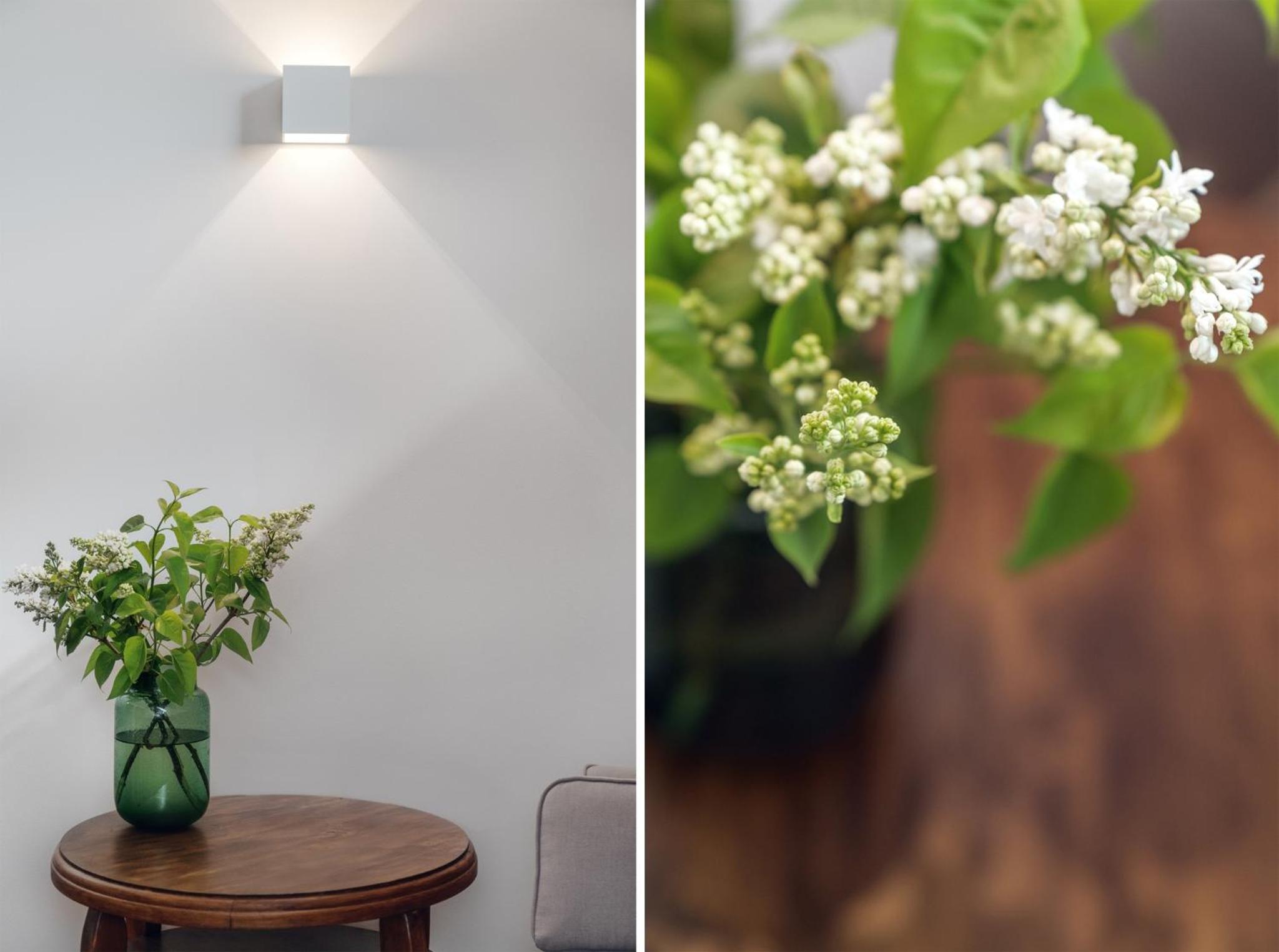 Apartamenty Józefa Kazimierz