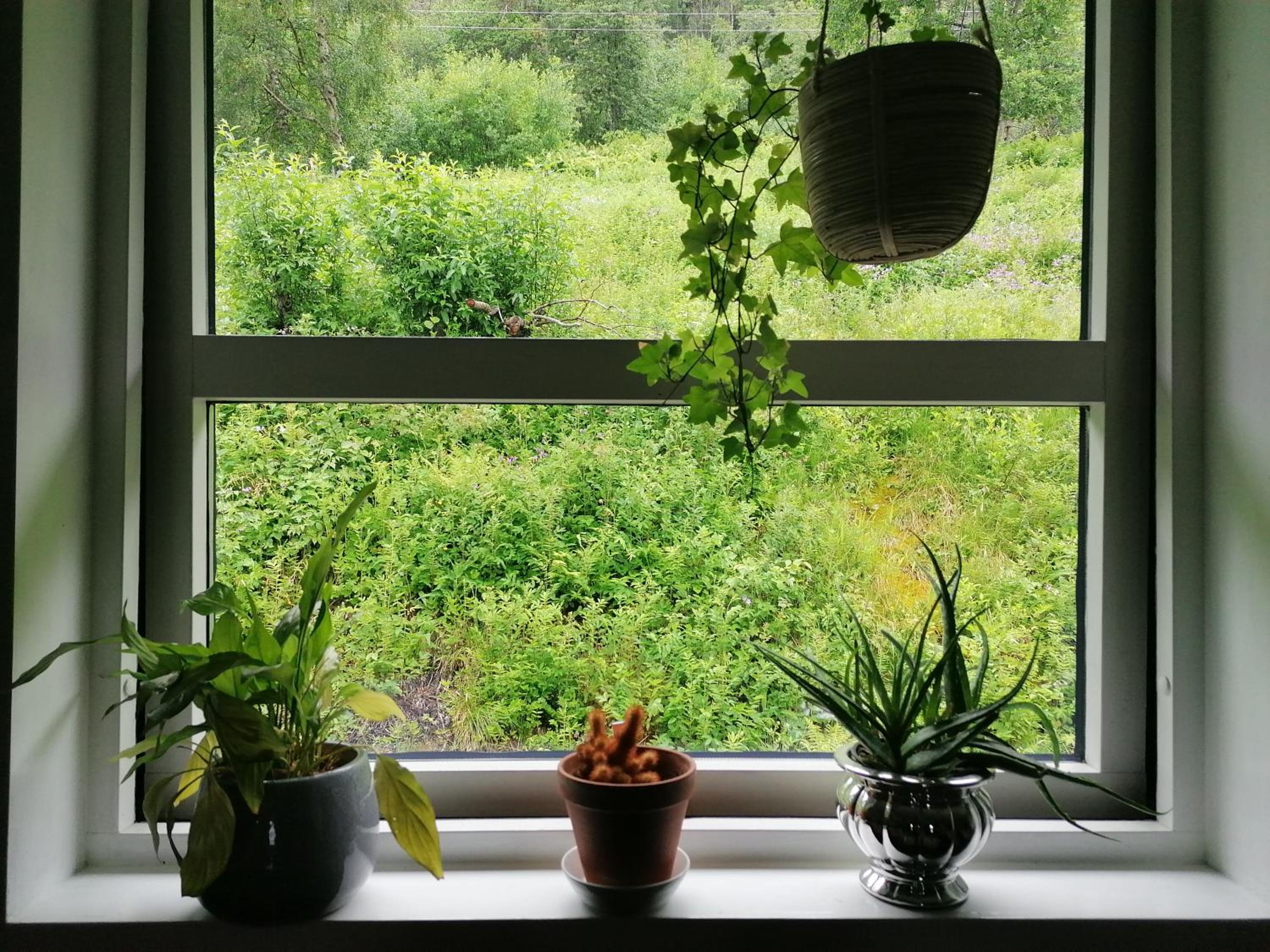 Photo 20