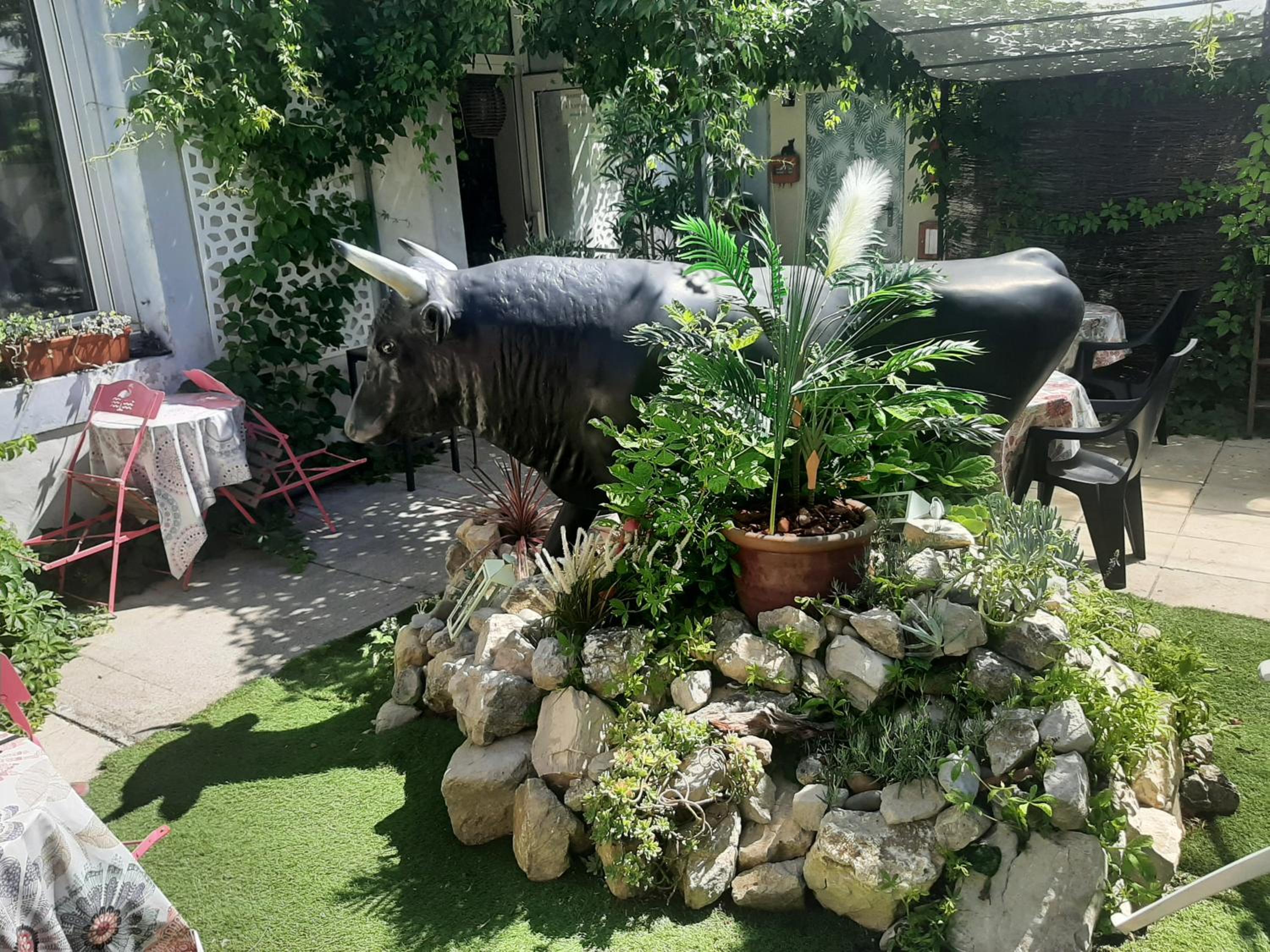 garden