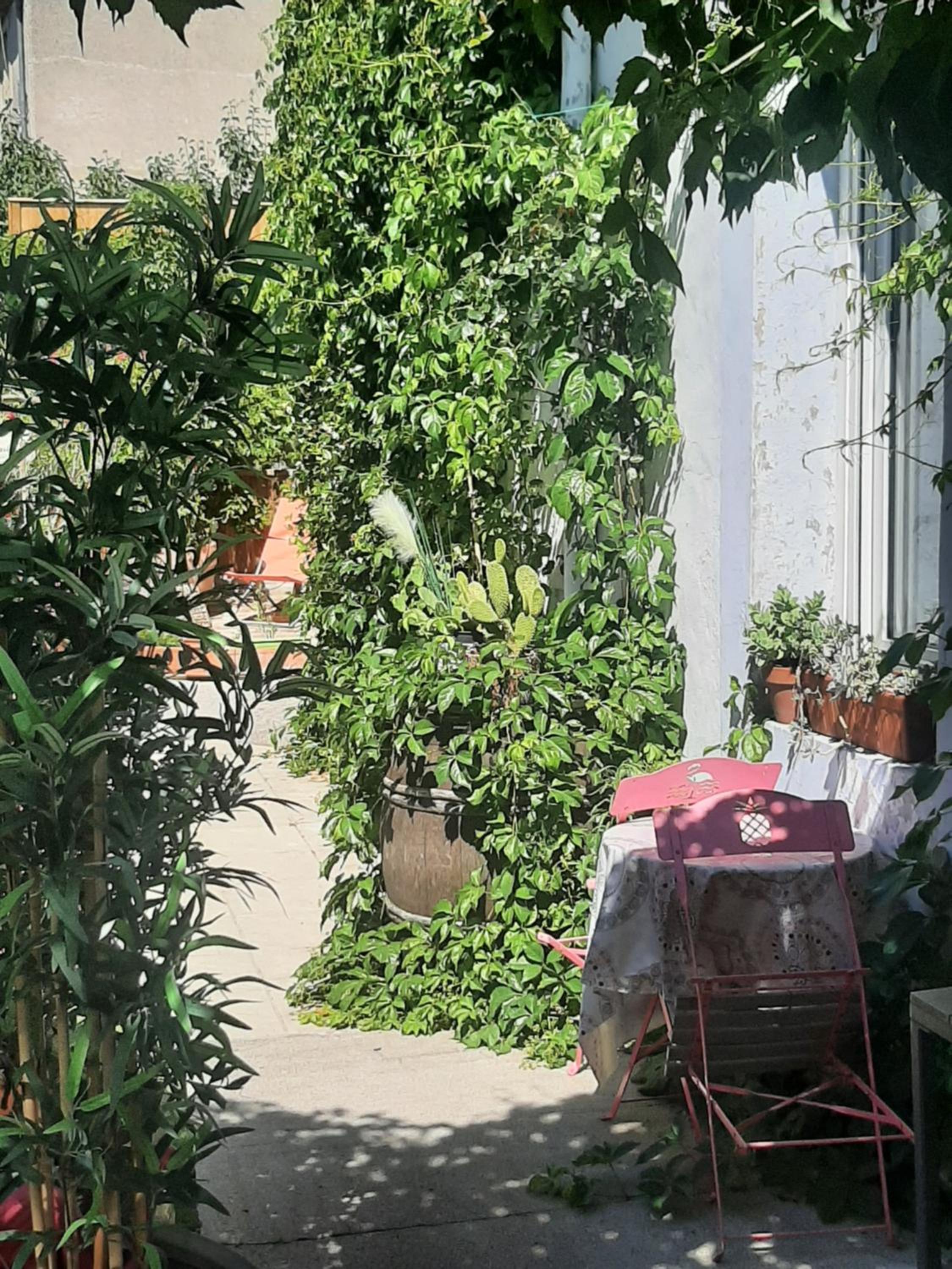 garden