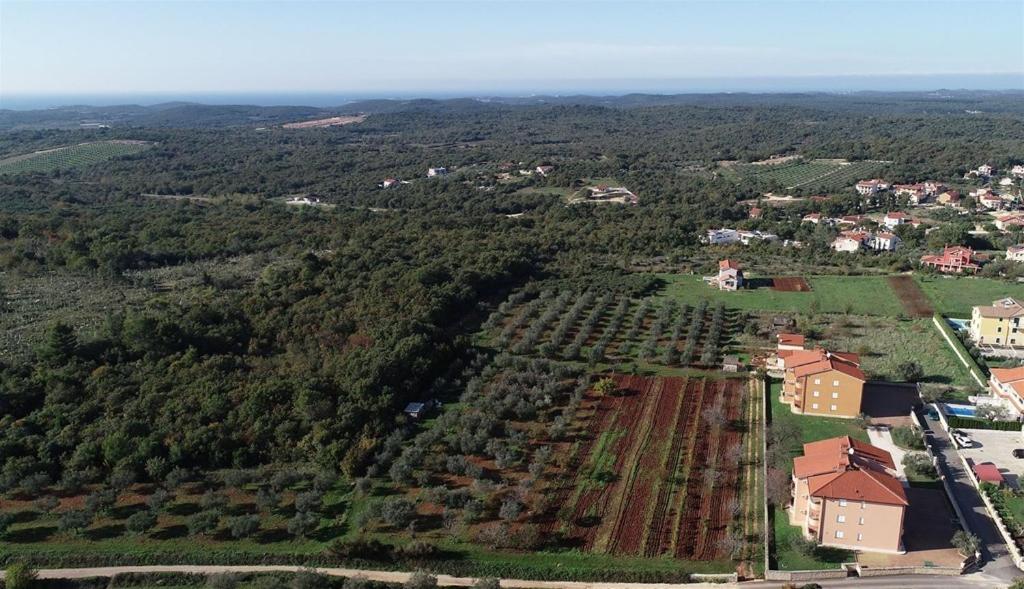 Apartment Maris view 5