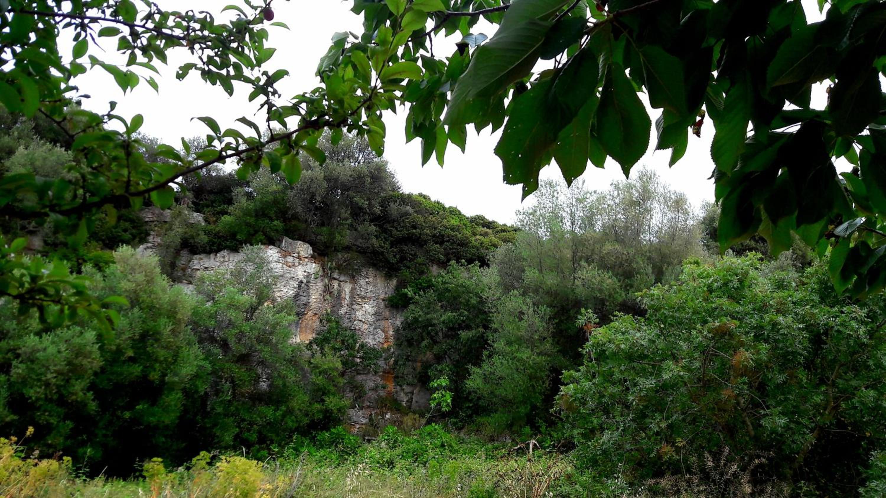Photo 42