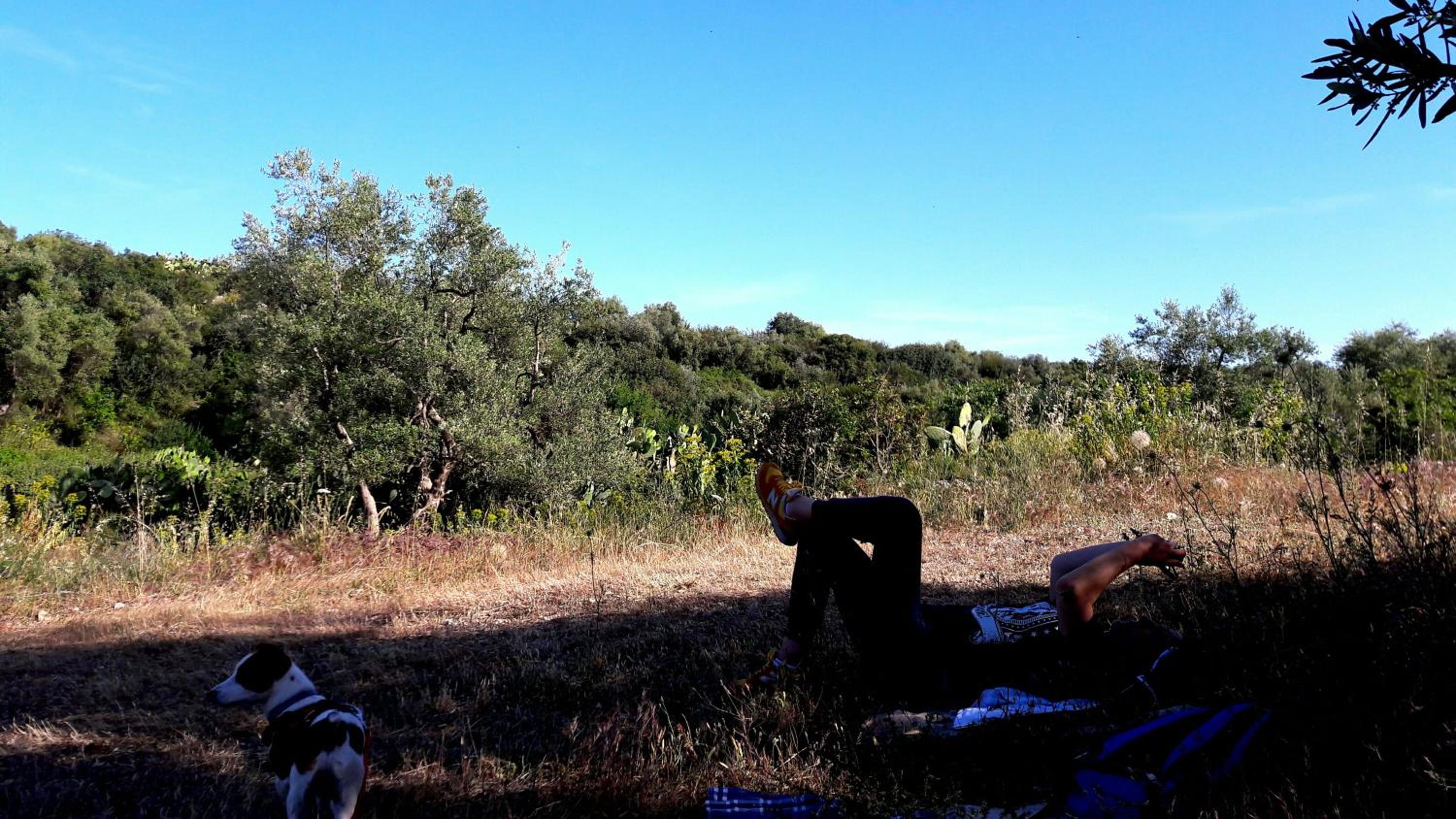 Photo 45
