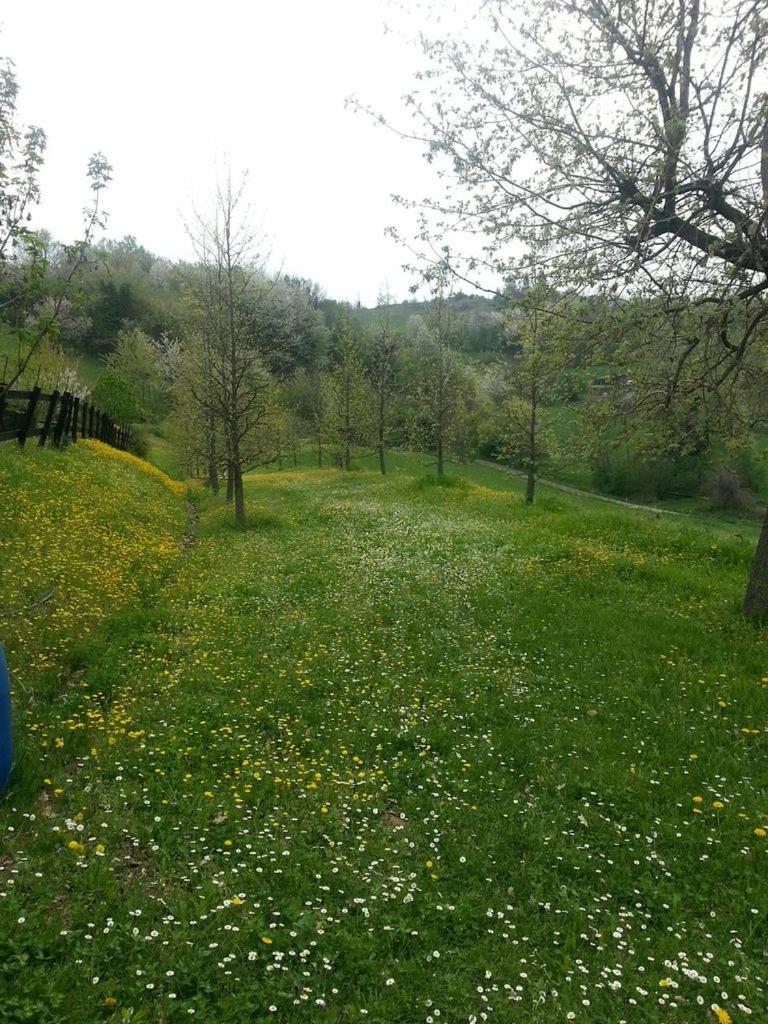 Photo 23