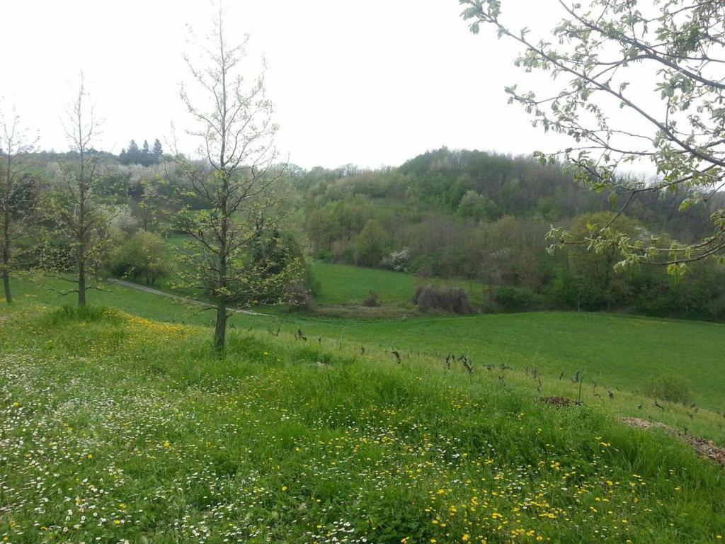 Photo 37