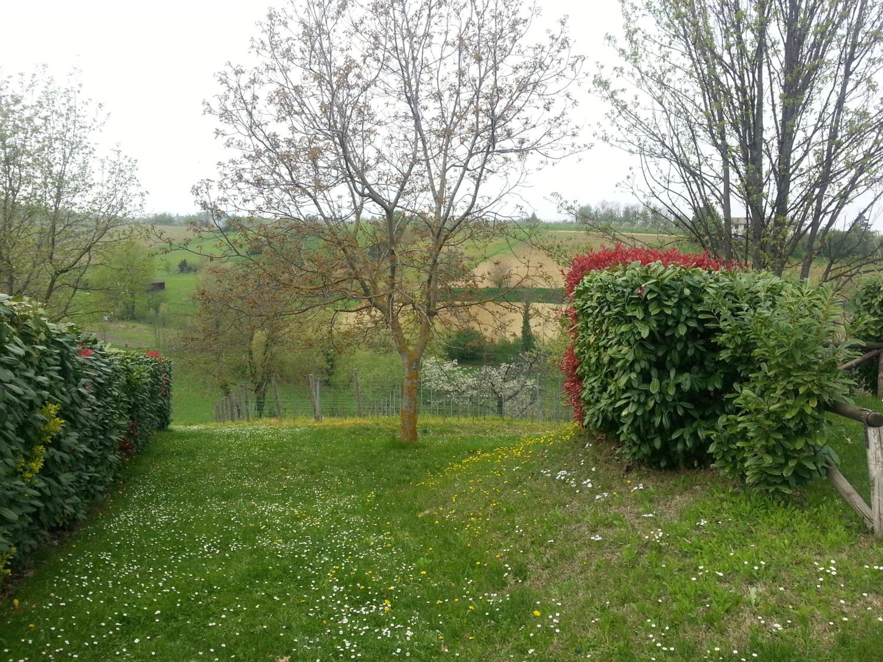 Photo 39