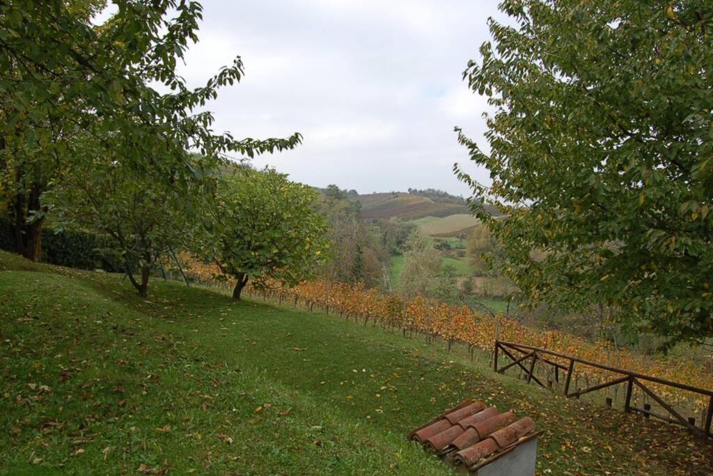 Photo 44