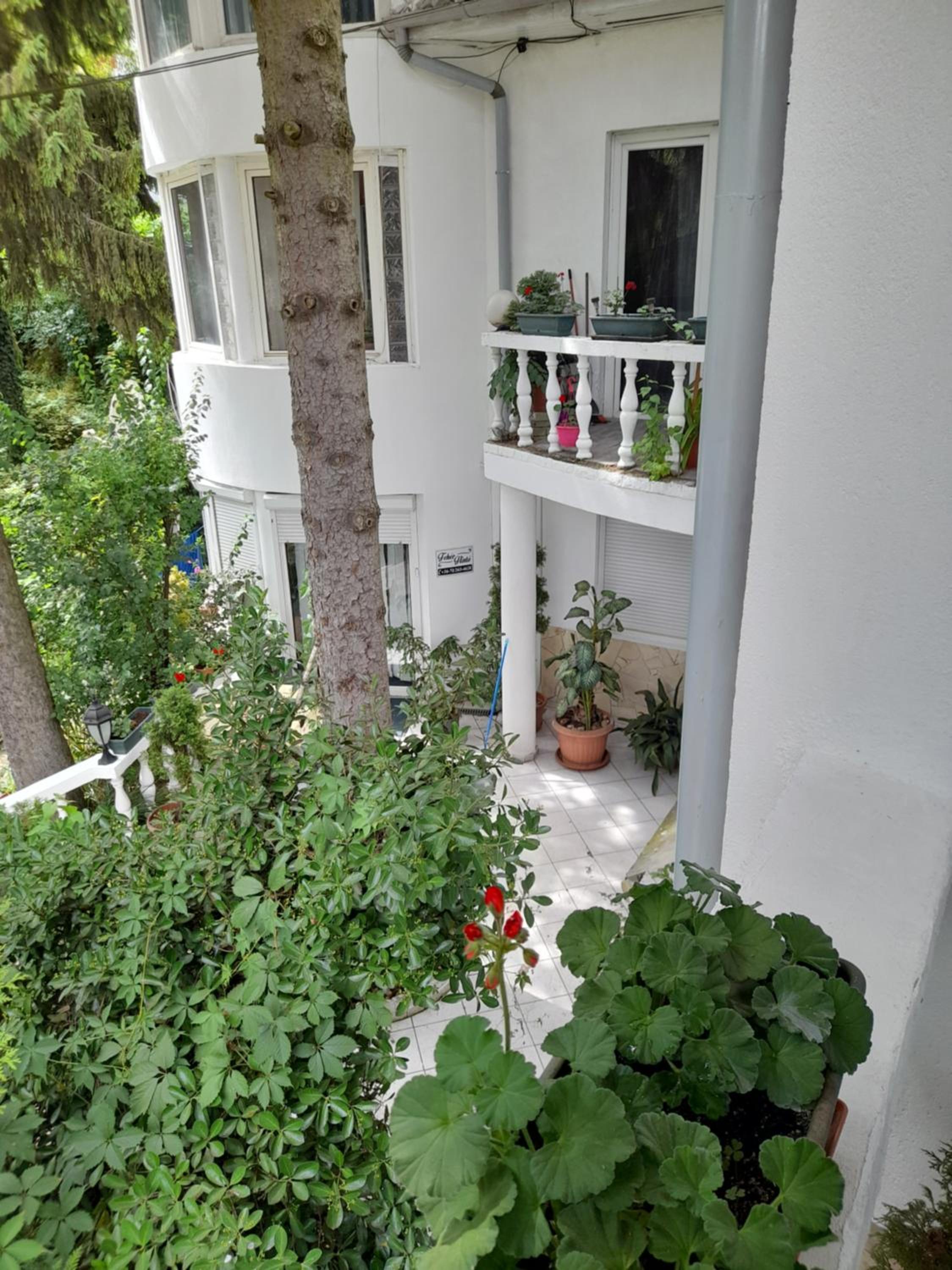 Photo 100