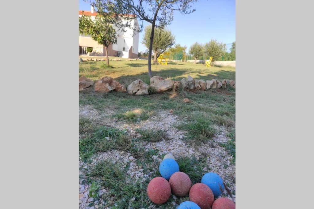 Photo 21