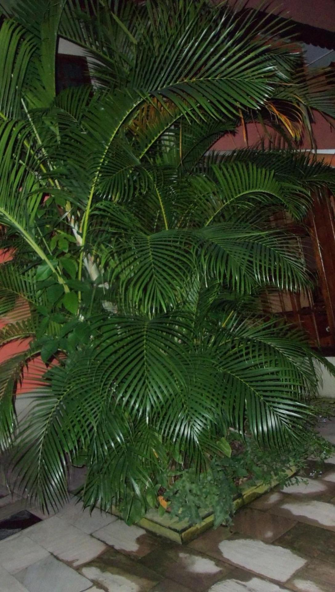 Pousada da Lenna