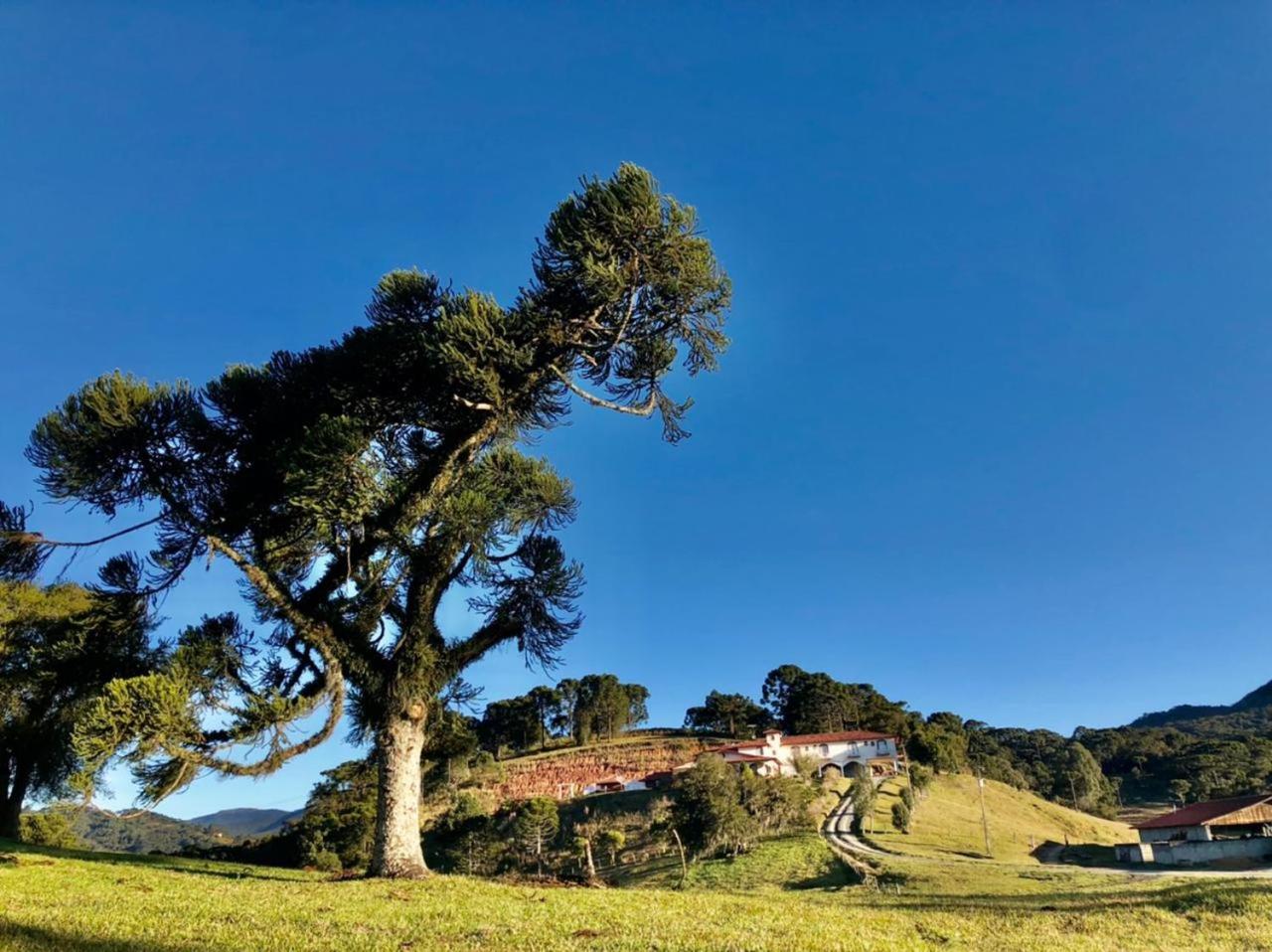 Pousada Fazenda da Invernada, photo 11