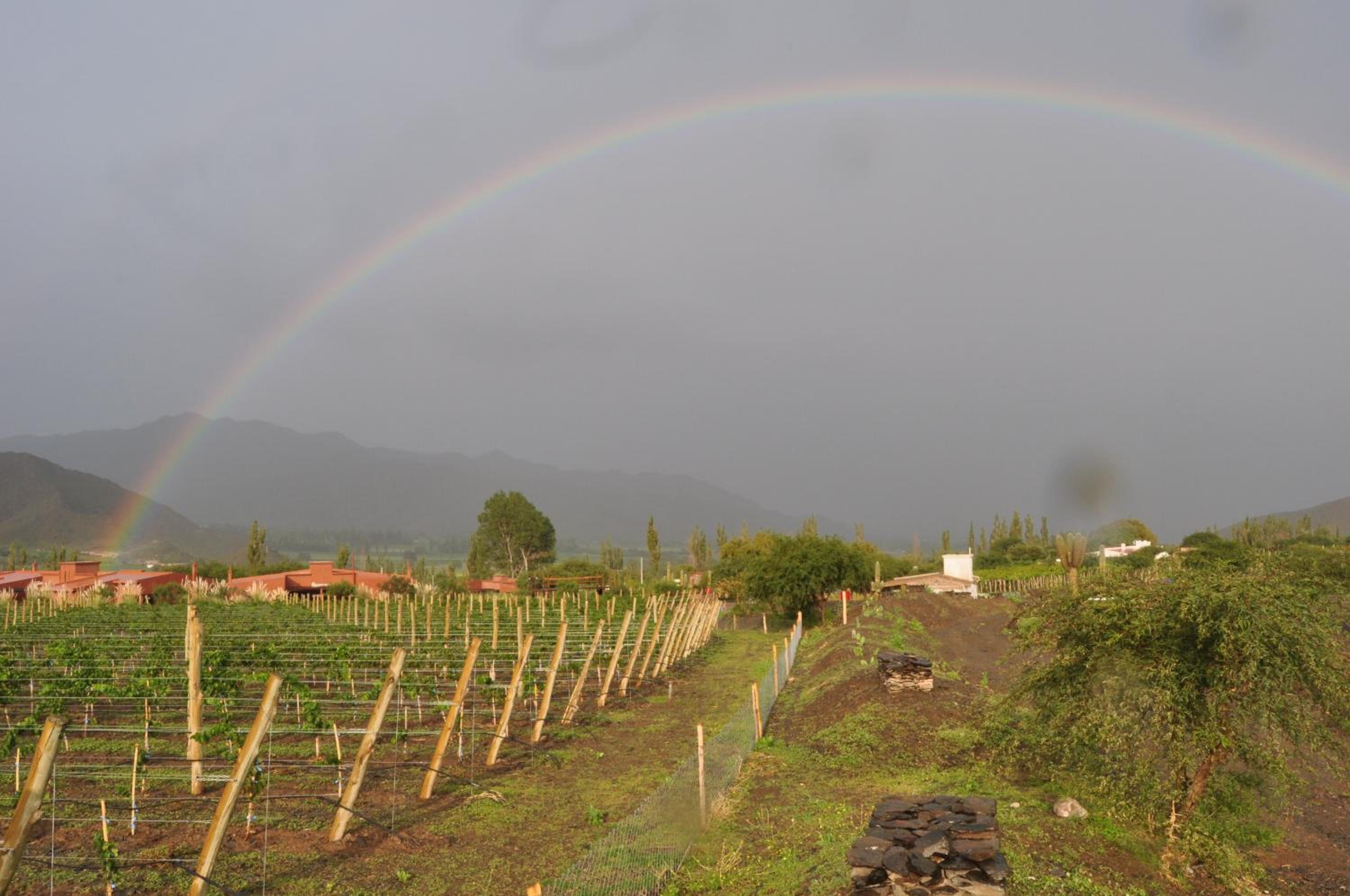 Miraluna Bodega Boutique