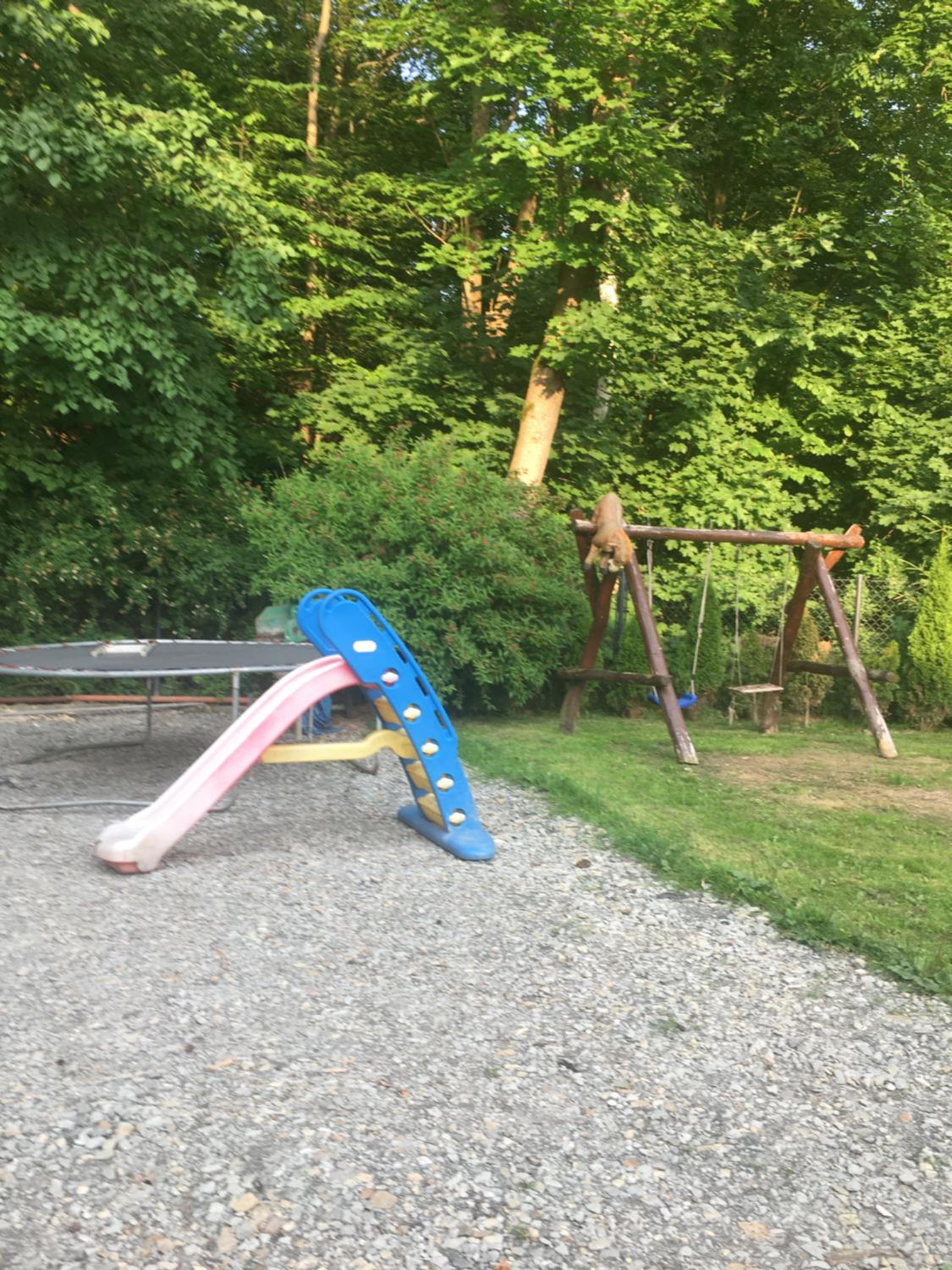 Photo 23
