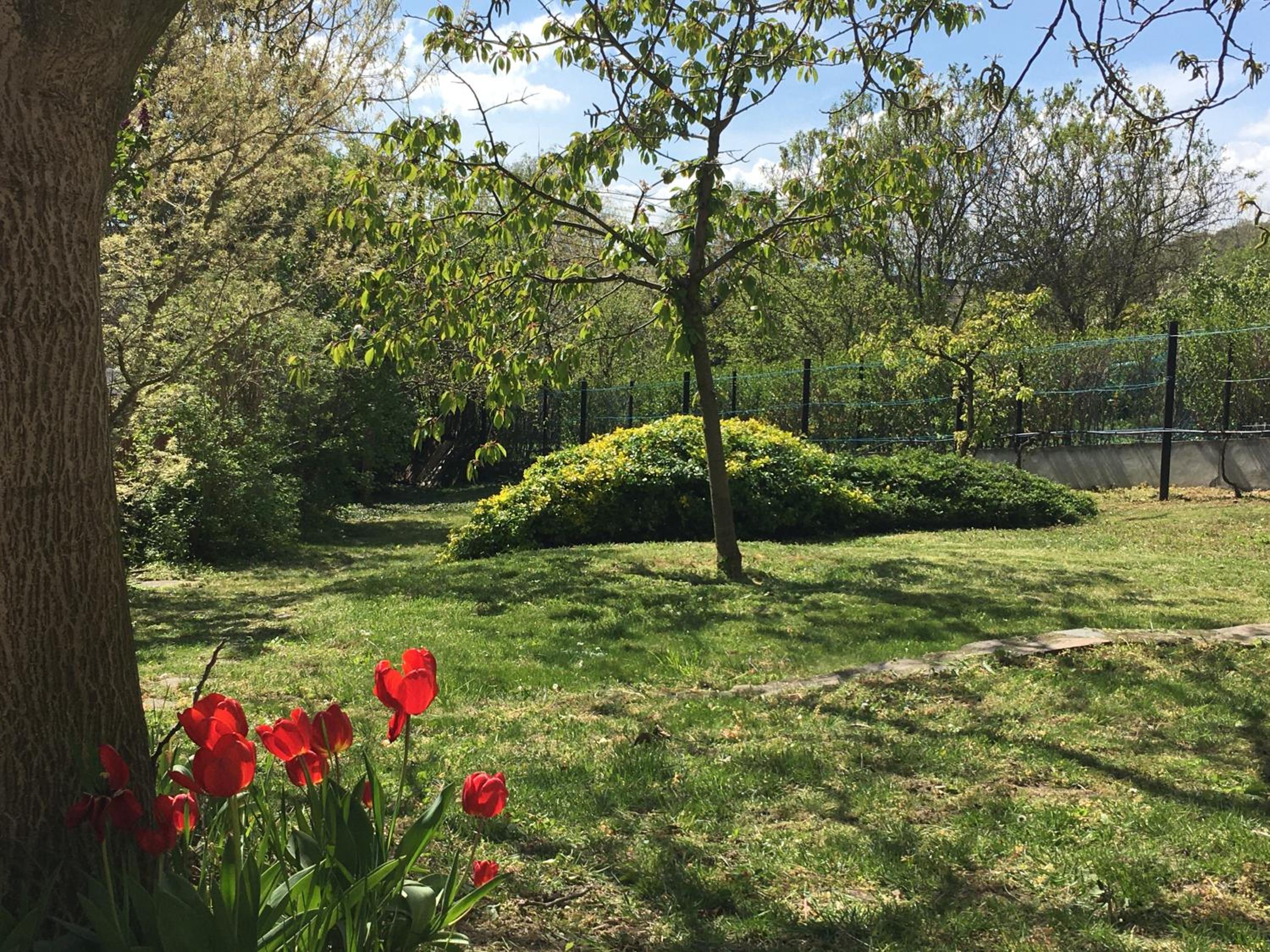 Photo 15