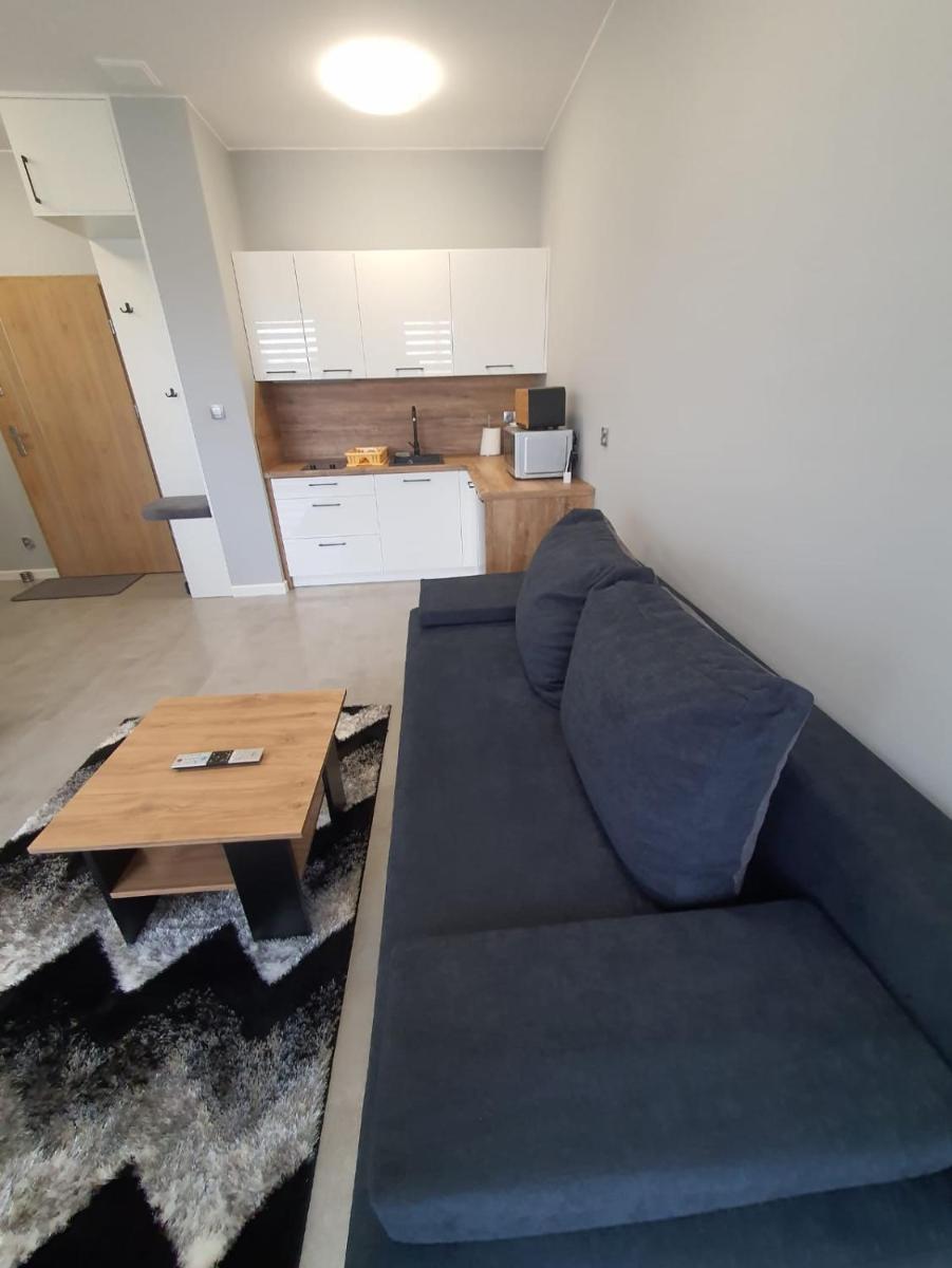 Apartamenty u Aleksandry view 4
