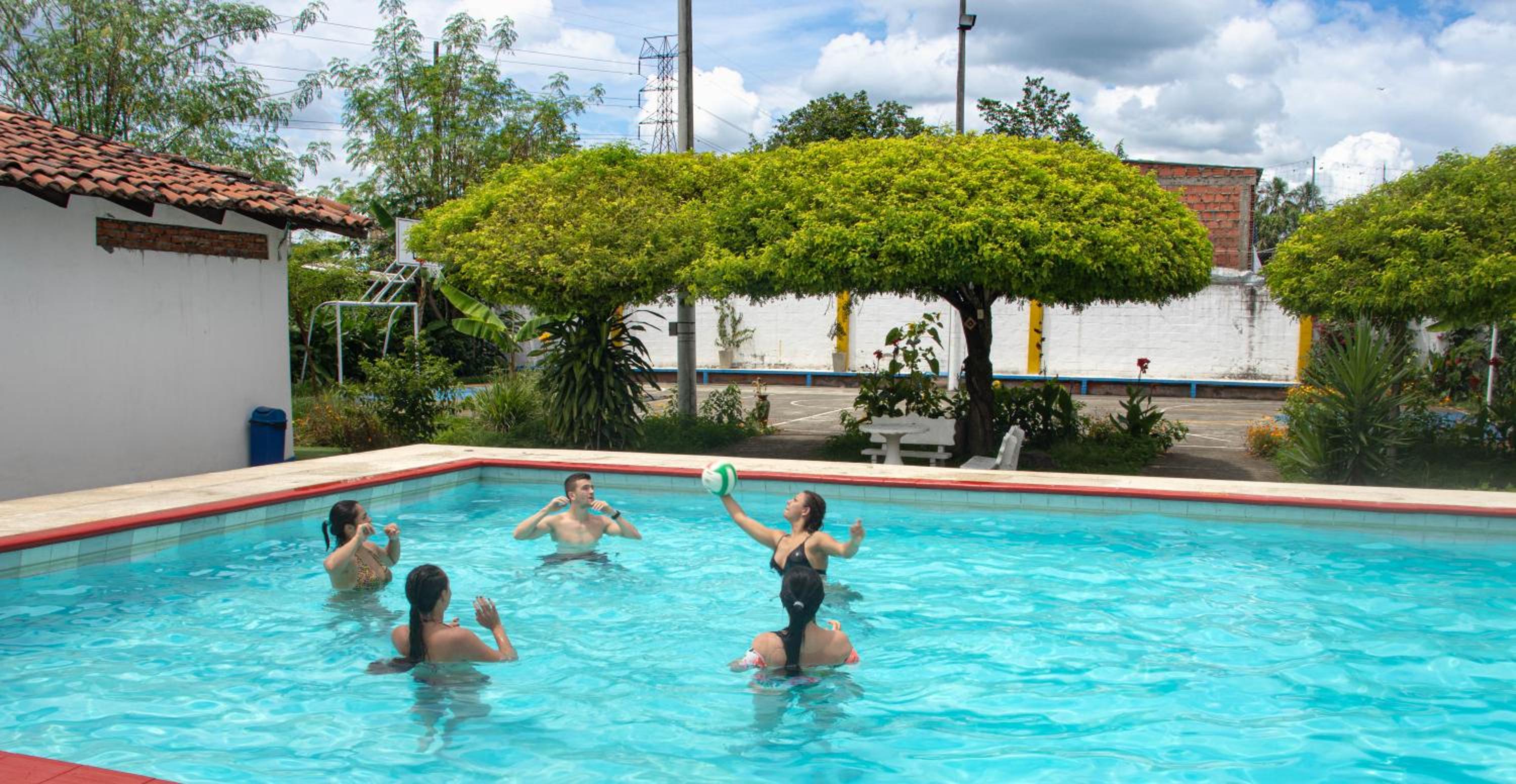 Photo 41