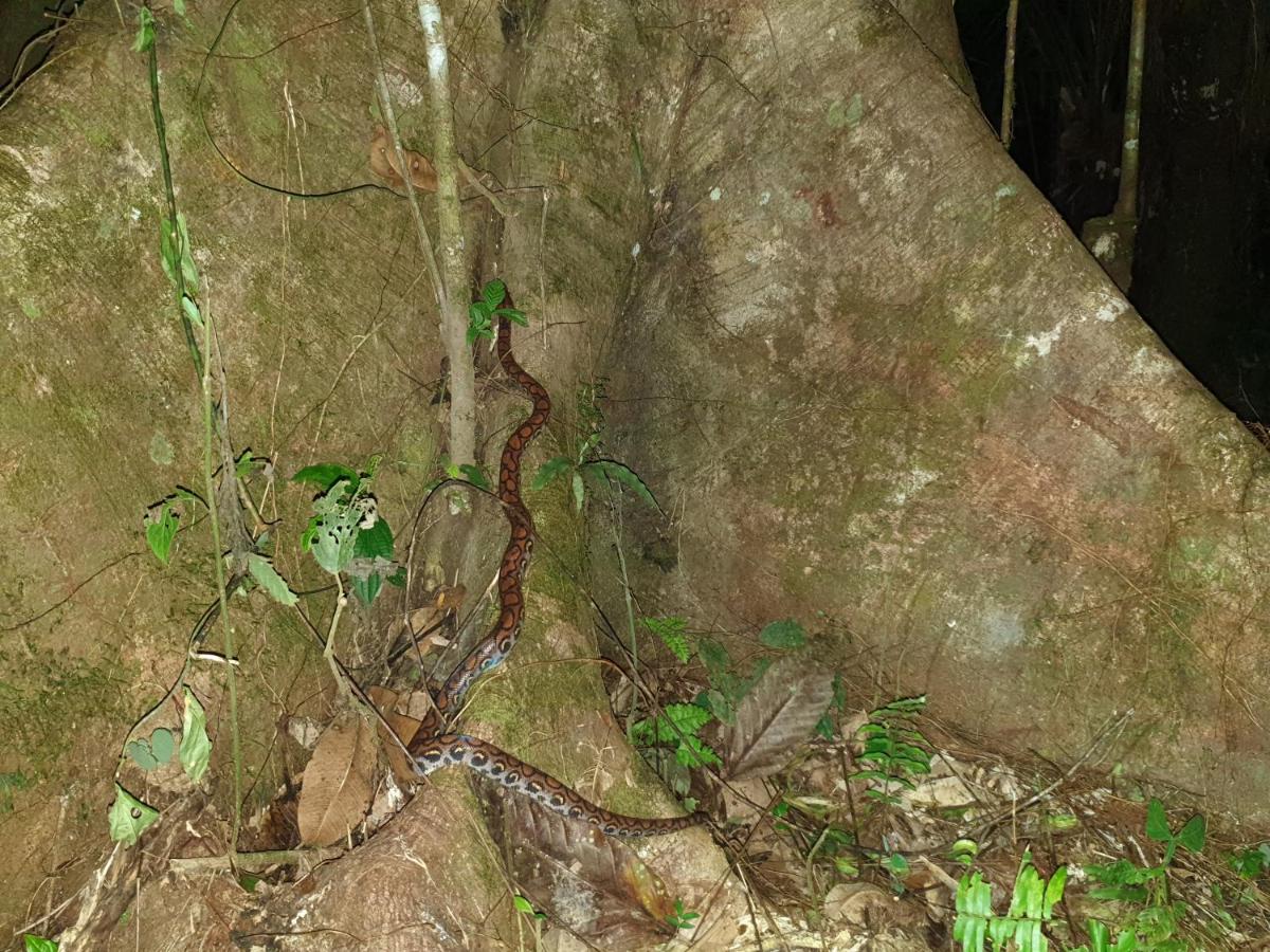 Photo 40