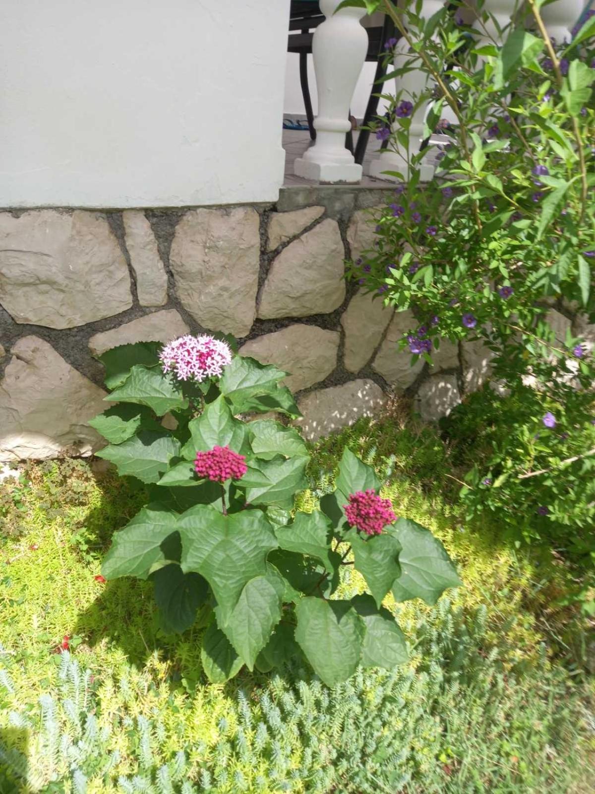 Photo 38