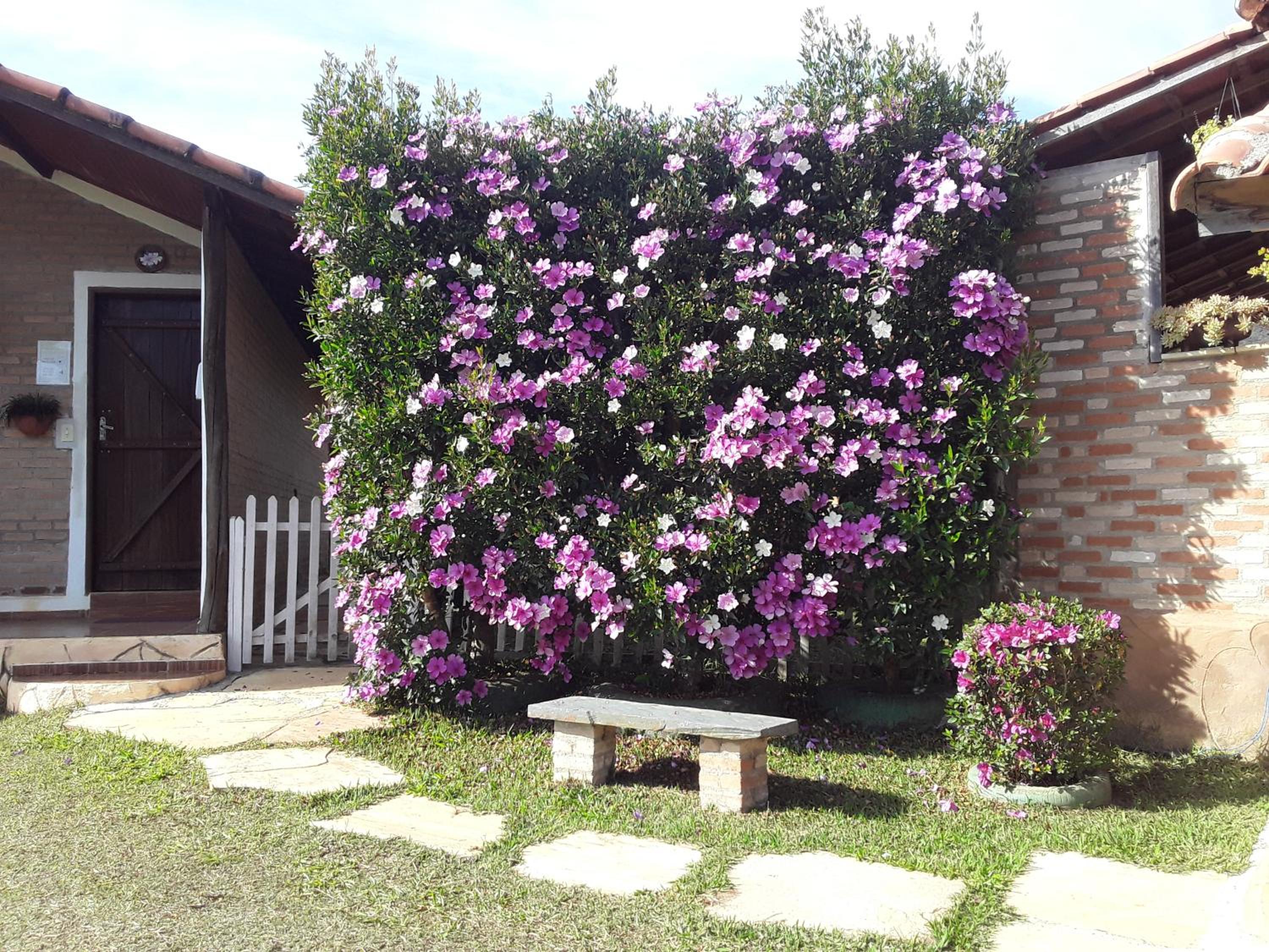 Recanto das Flores view 2