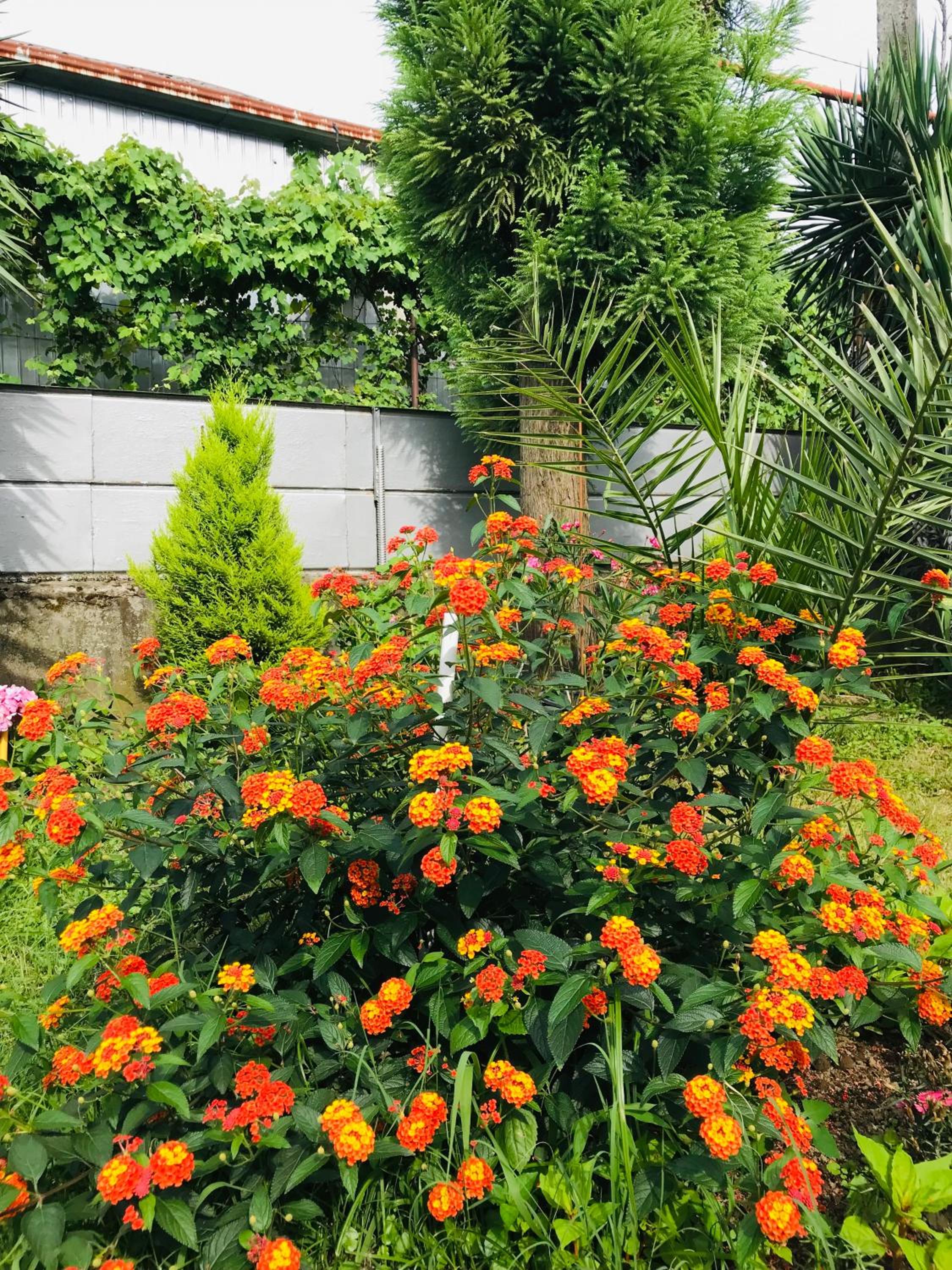 Greenview Guesthouse