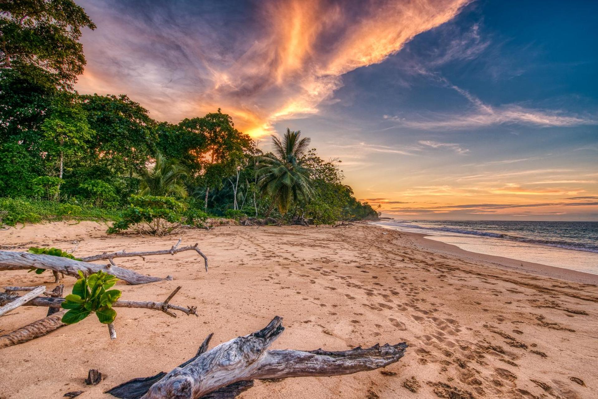 Oasis Bluff Beach
