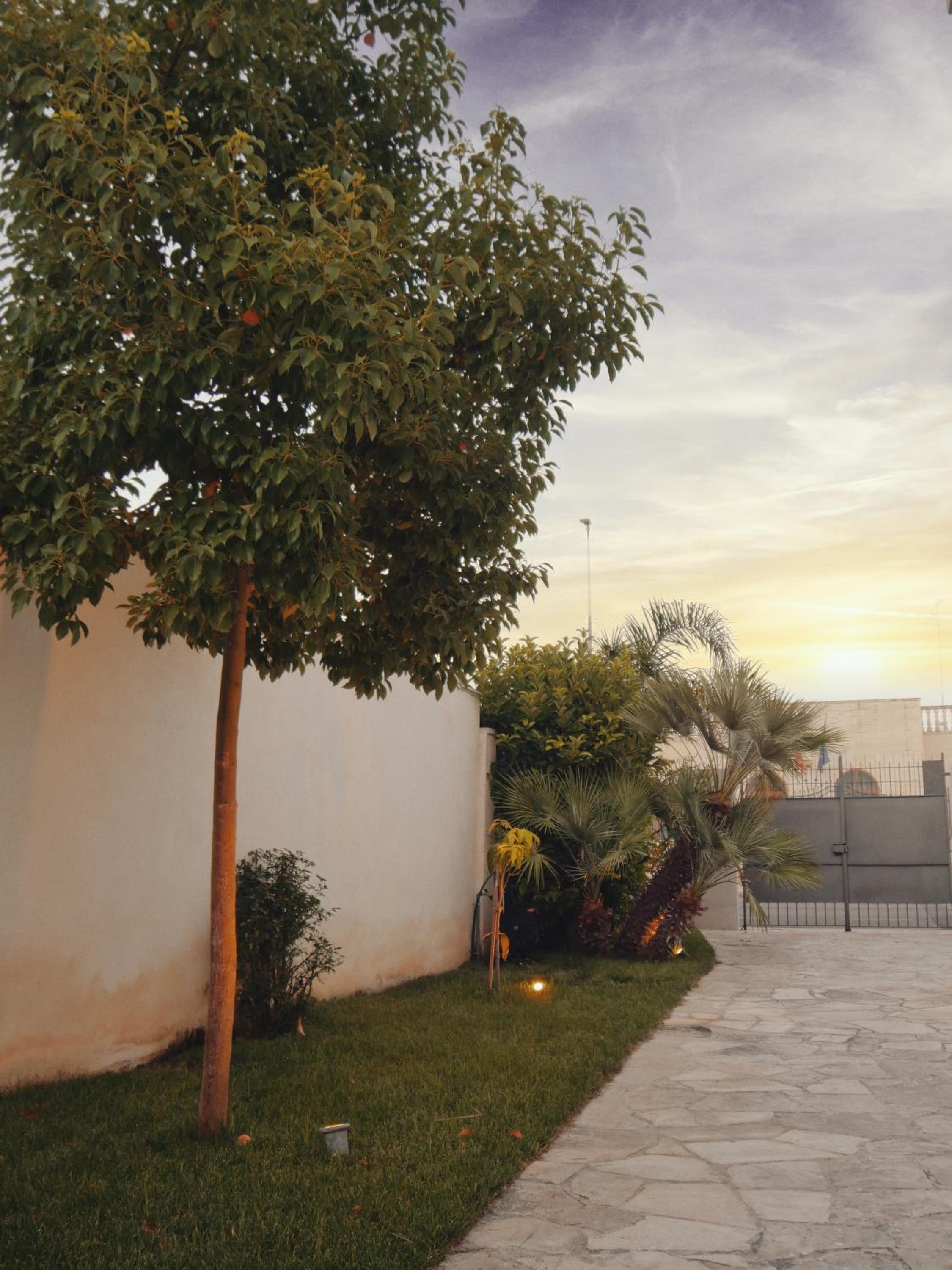ADELE E IL DUCA Bed and Breakfast view 5