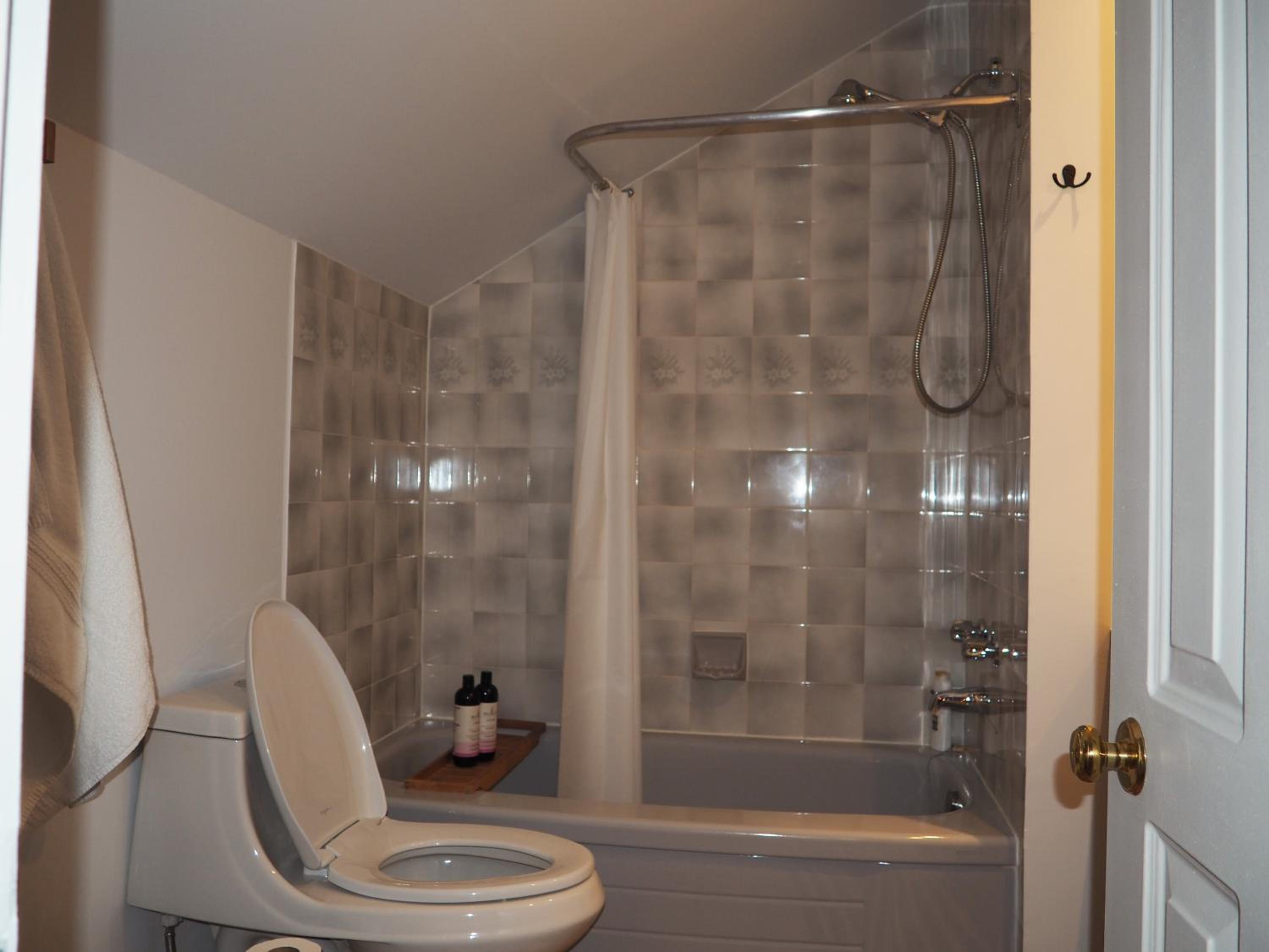 Cozy 2 bedrooms condo with stunning Mont Tremblant mountain and lakeview