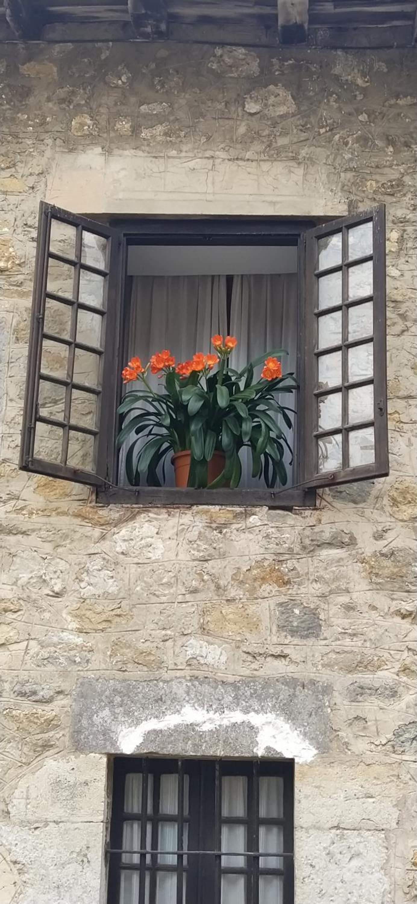 Hospedaje Octavio