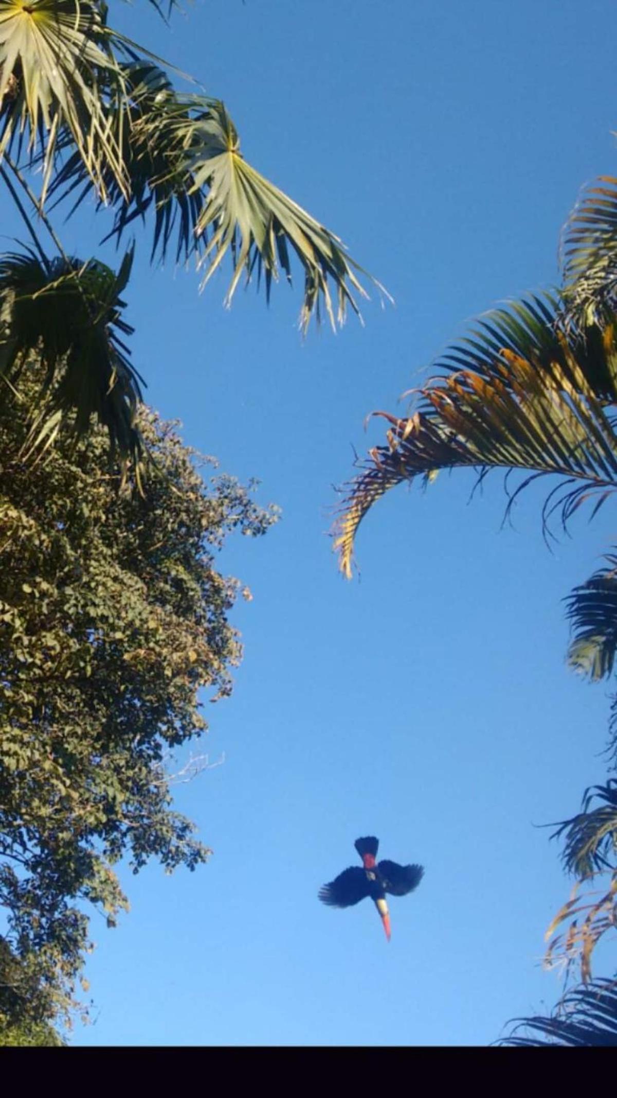 Casa COMPLETA, 2 quartos, Estacionamento GRATUITO, WIFI 300MB, frigobar, microondas, fogão e jardim
