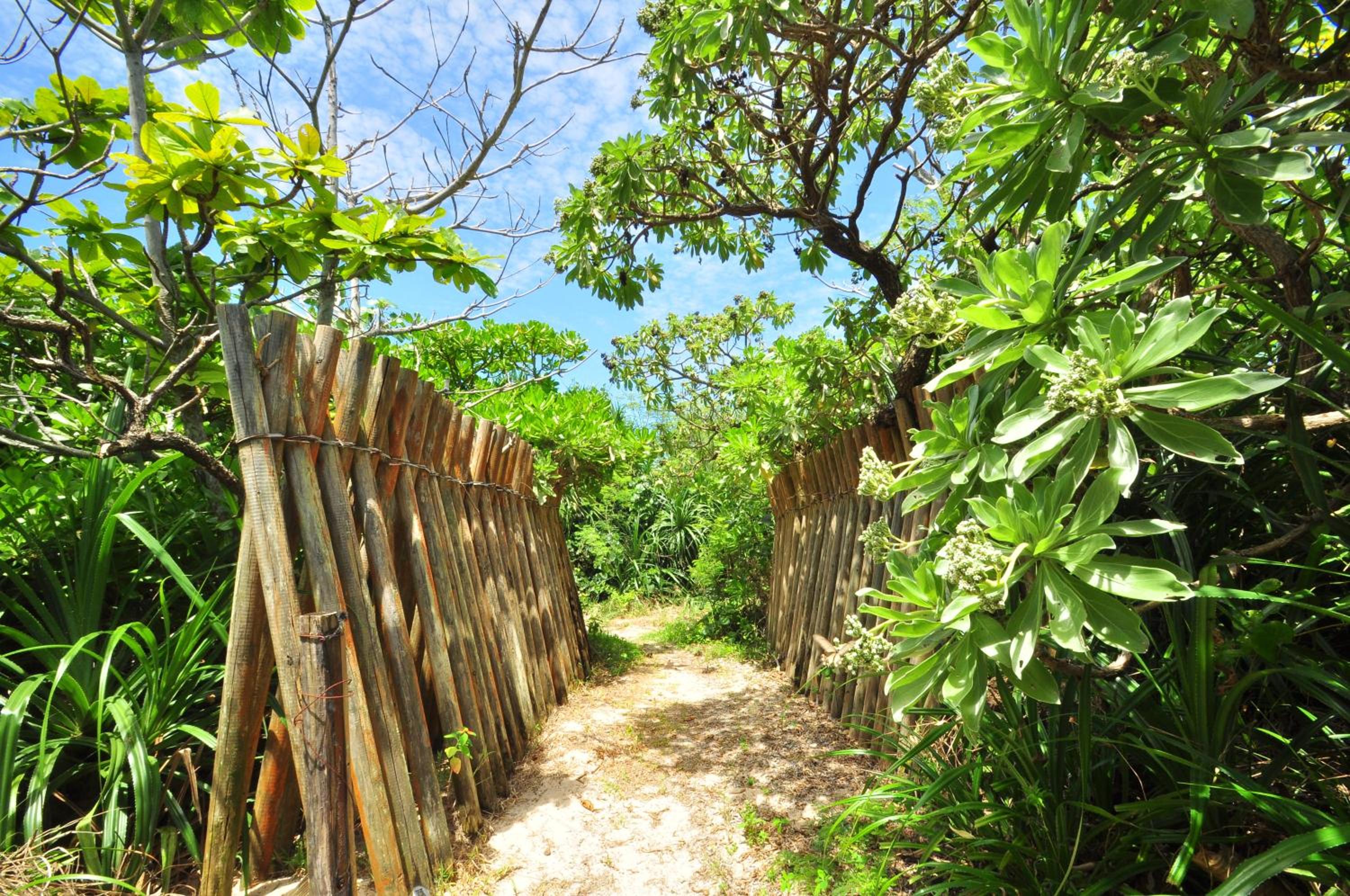 Marine Lodge Marea
