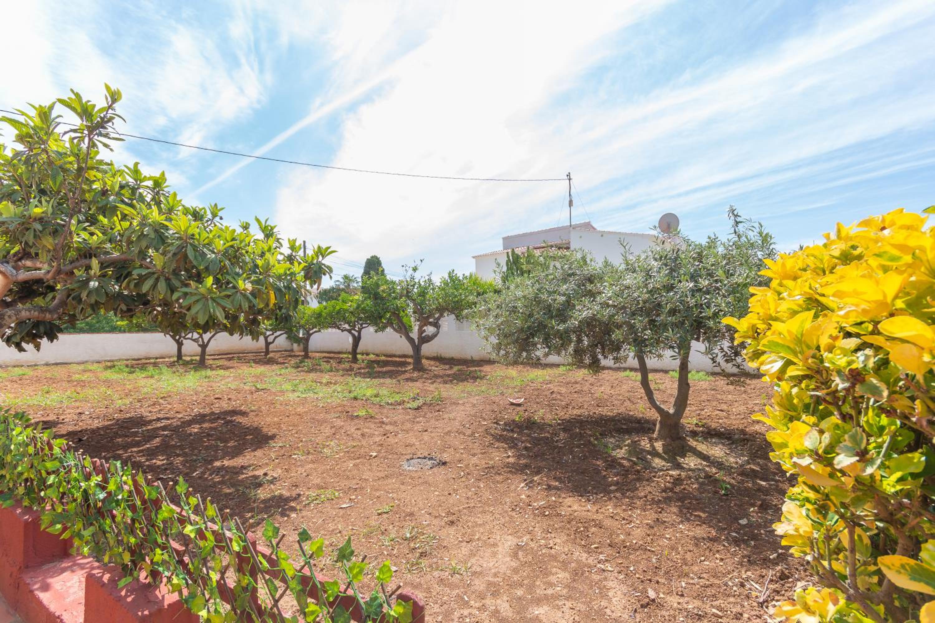 Villa Caleta - Costa CarpeDiem