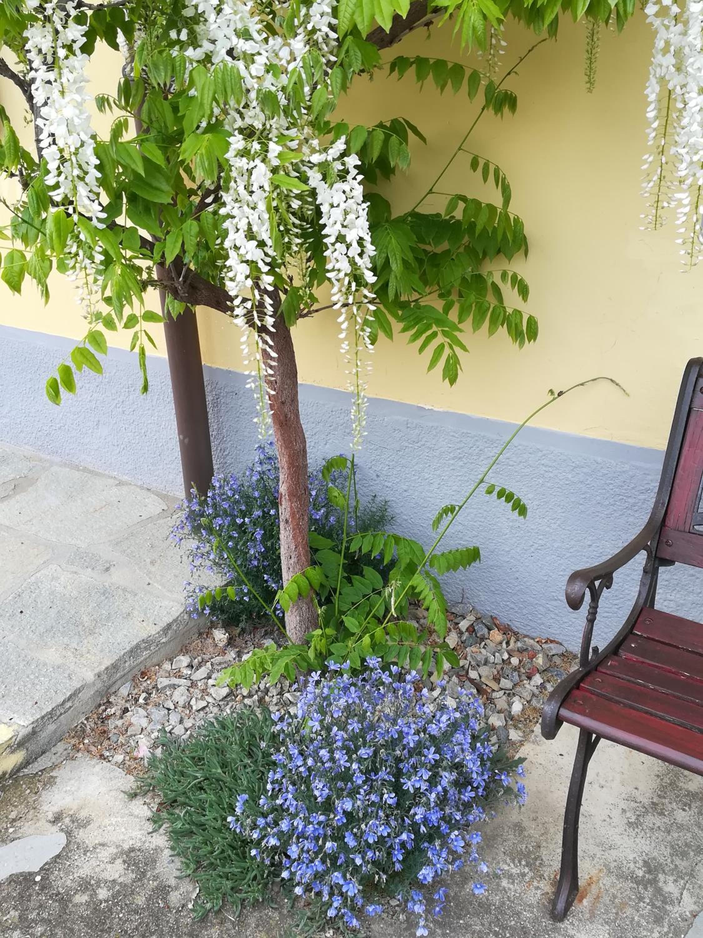 LA CASA DEI MASUE'