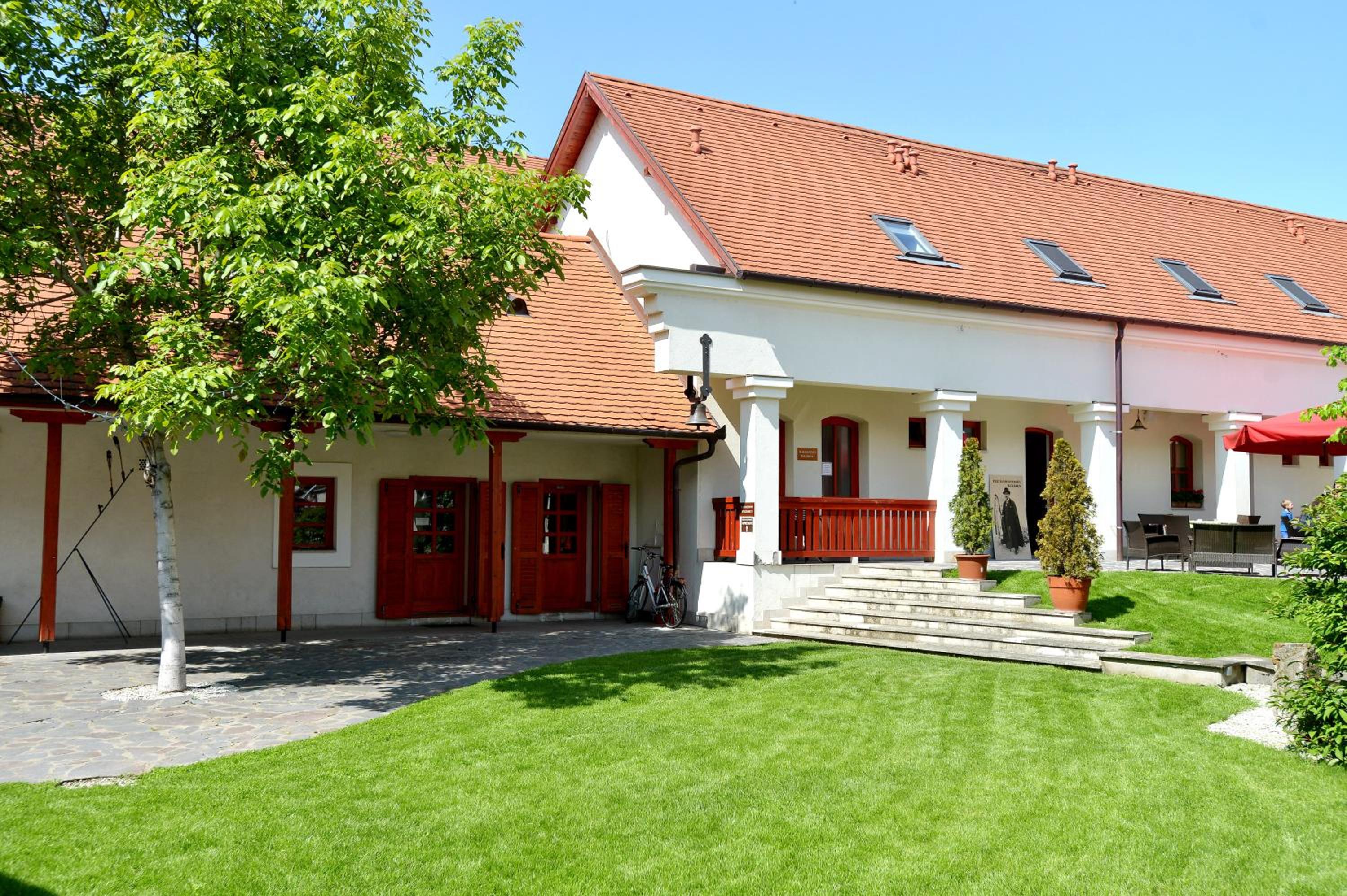 Photo 8