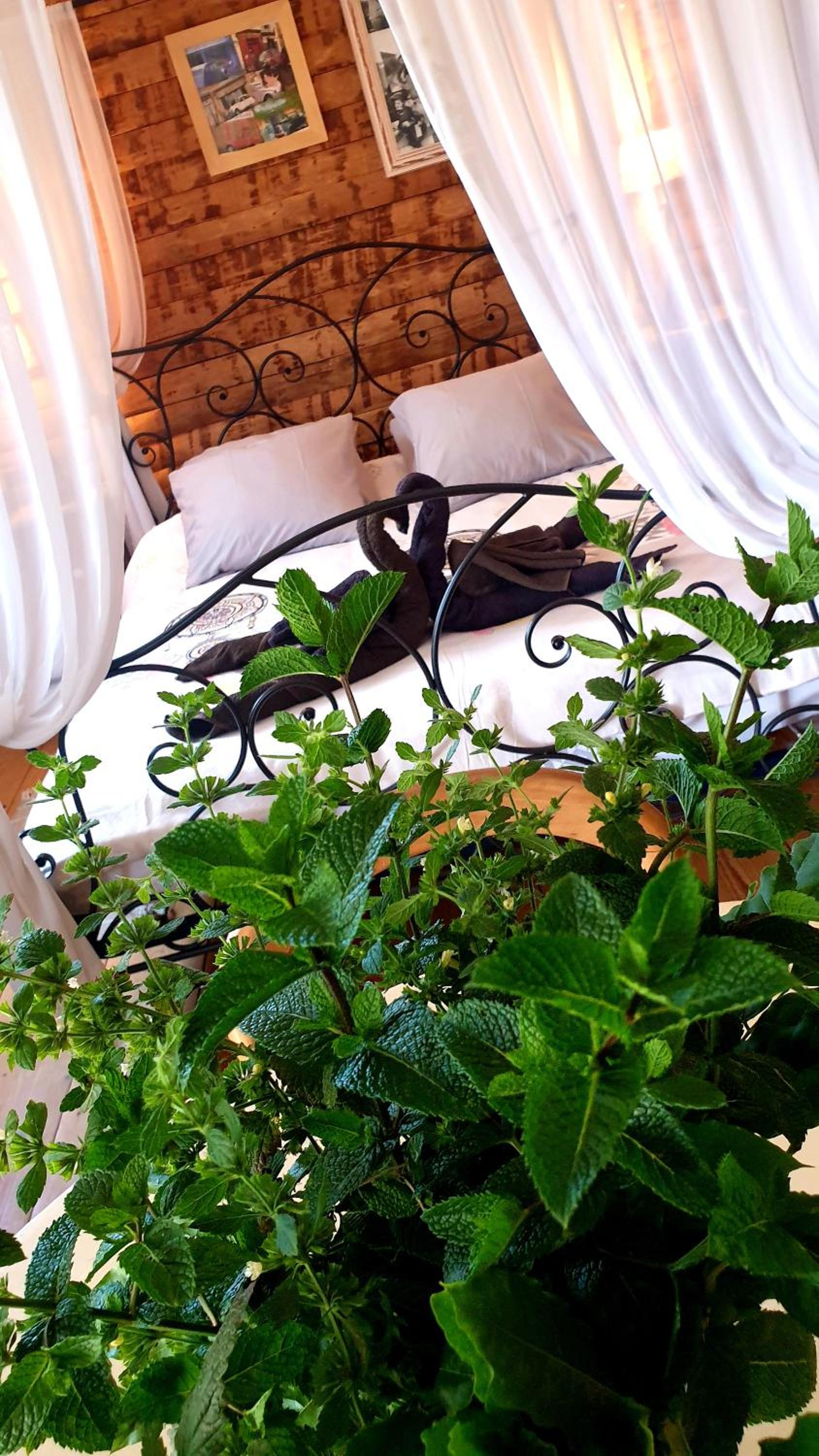 Chambre d'hôtes Le Petit Ranch, photo 4