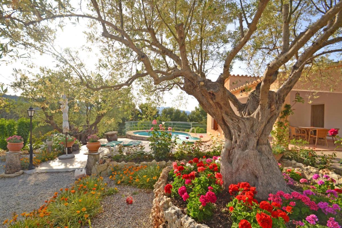 Beautiful Villa Maria photo 4