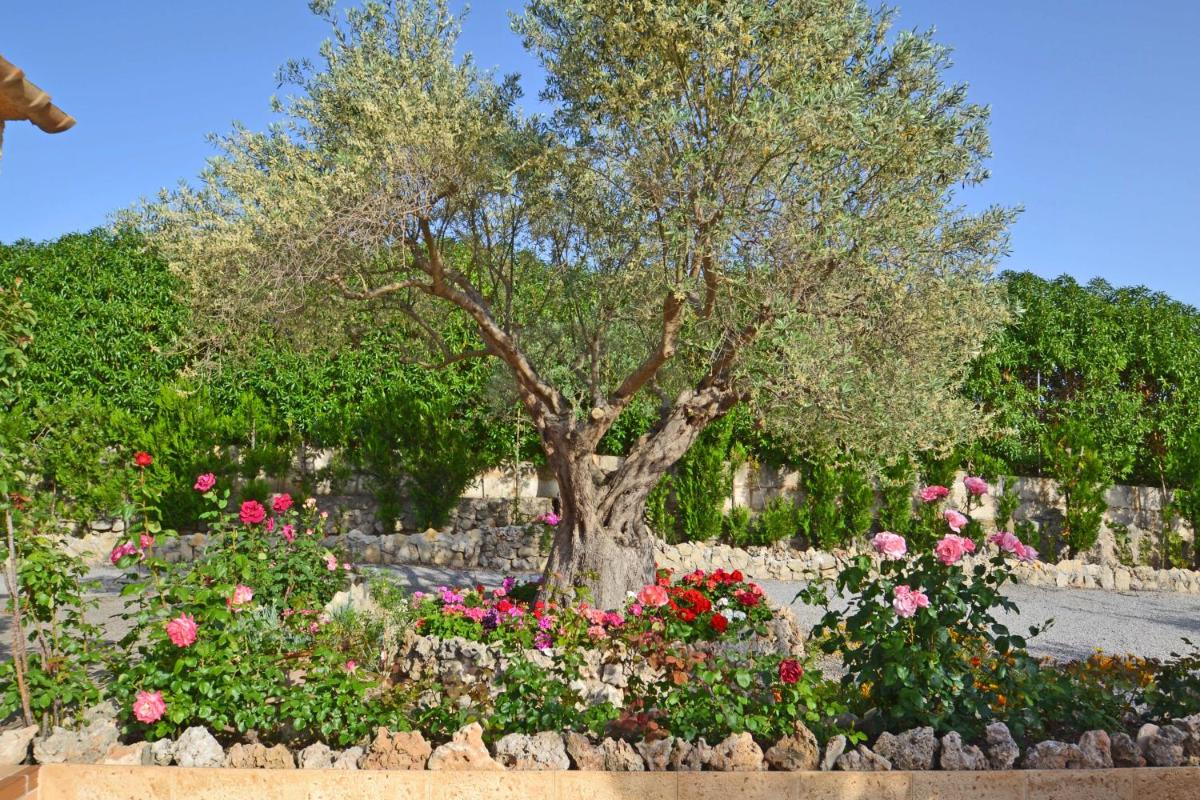 Beautiful Villa Maria photo 5