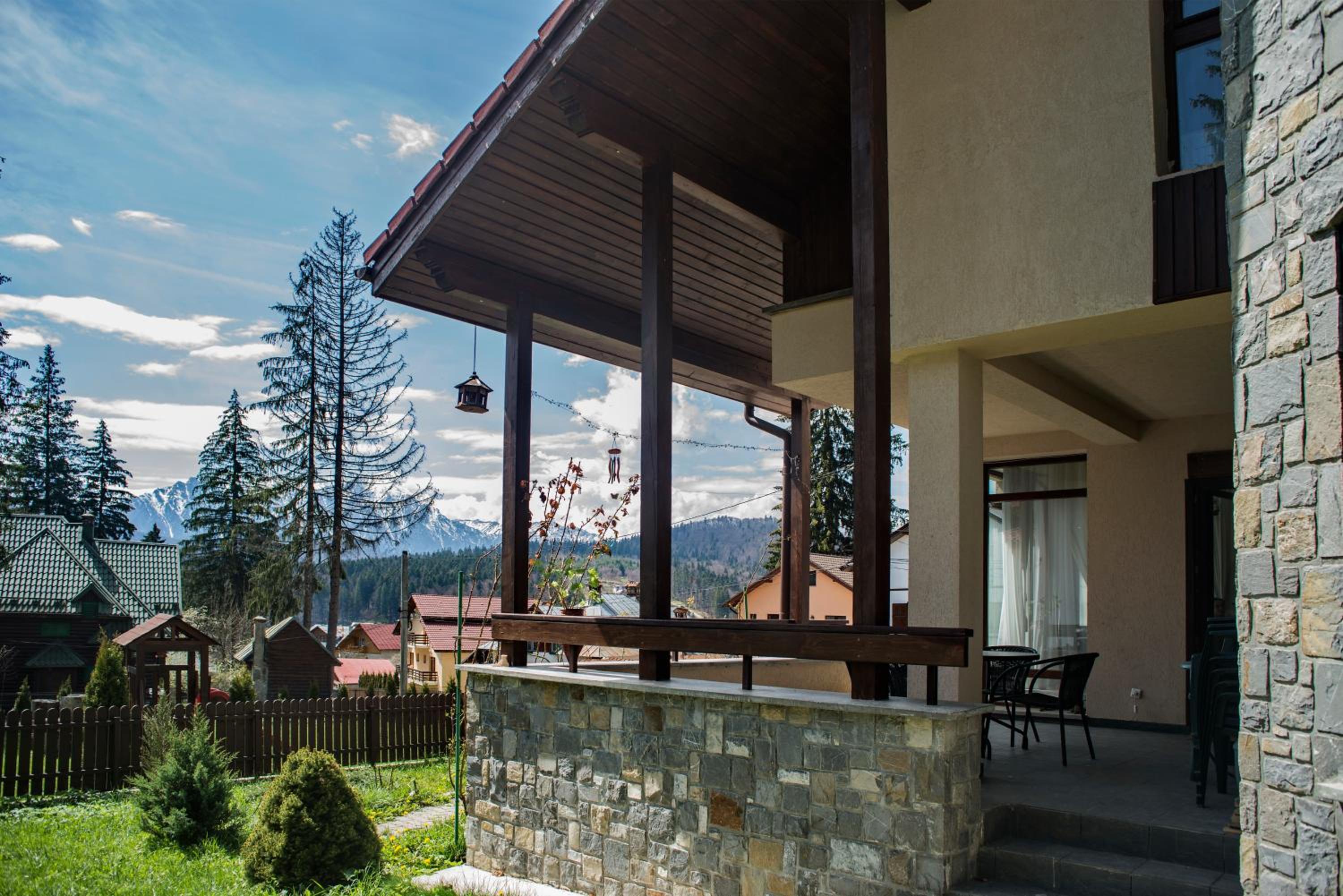 Transylvanian Villa view 5