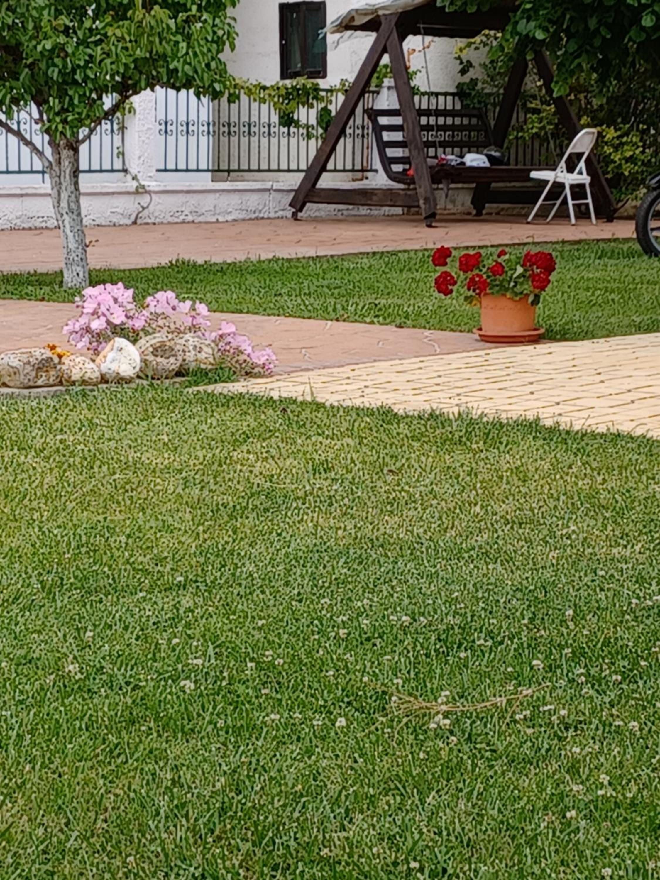 Villa Katerina photo 2