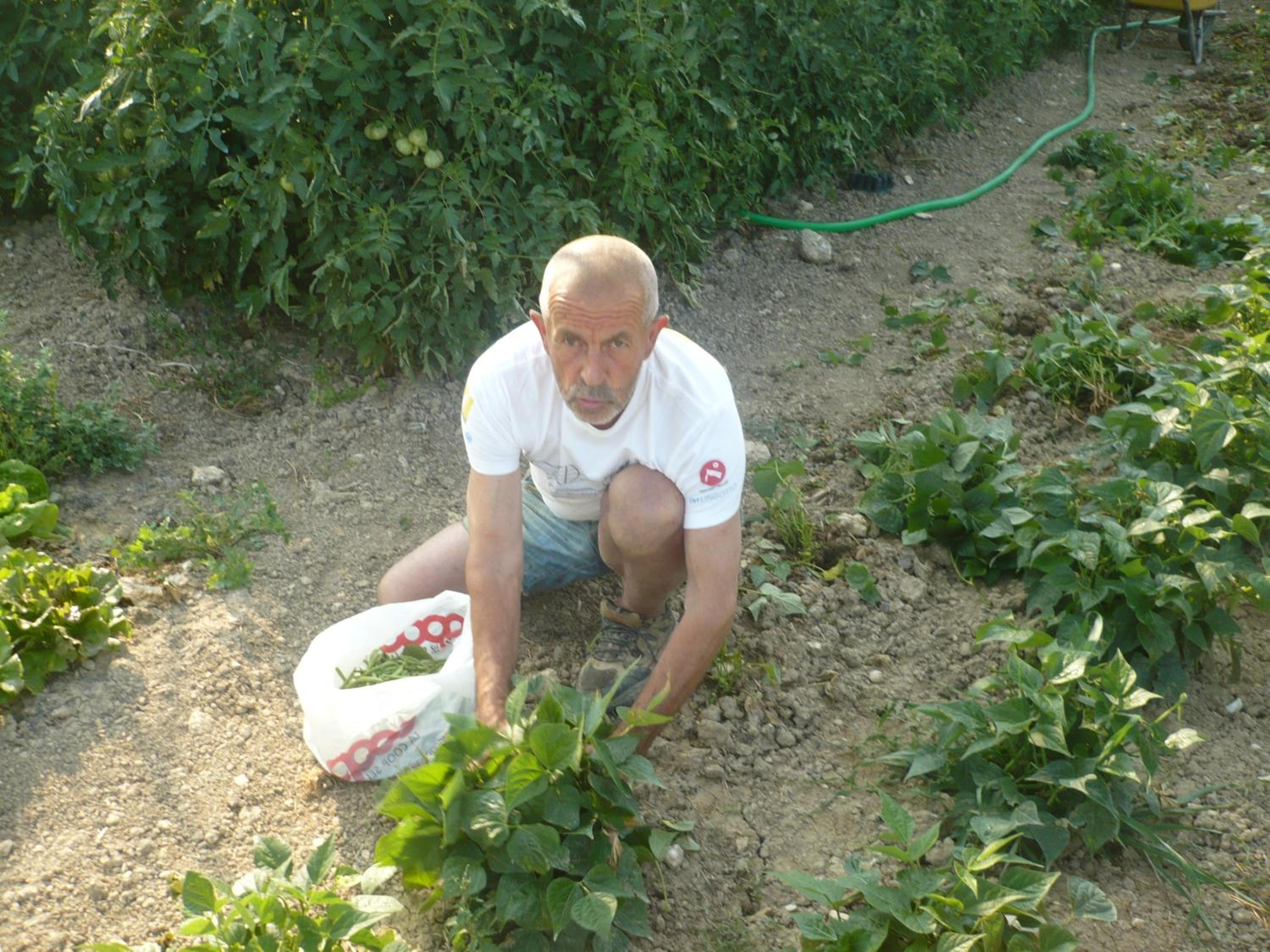 Photo 42